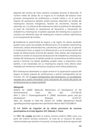 268
depende del número de ciclos celulares cumplidos durante el desarrollo. El
número medio de células de un órgano es el resultado del balance entre
procesos contrapuestos de proliferación y muerte celular y, en el caso de
órganos de parénquima epitelial, ambos procesos dependen de señales del
mesénquima (factores mitogénicos, factores de crecimiento, factores de
sobrevida, etc.). La influencia del mesénquima sobre la proliferación del epitelio
se pone de manifiesto en experiencias de disociación y reasociación de
endodermo y mesénquima. El epitelio separado del mesénquima o puesto en
contacto con diferentes tipos de mesénquima muestra cambios significativos
en la incorporación de timidina.
e) Establecida la especificidad de órgano, o de región, las células epiteliales
pueden tener varías vías posibles de diferenciación. En el epitelio intestinal hay
enterocitos, células enteroendocrinas, caliciformes y de Paneth, etc. En general,
el mesénquima tiene un papel en la diferenciación y en el mantenimiento del
estado de diferenciación terminal del epitelio. Estos efectos del mesénquima
también se revelan en situaciones de disociación de endodermo y mesénquima.
Aislado del mesénquima, el epitelio pierde las características de diferenciación
parcial o terminal. Las células epiteliales pueden volver a organizarse como
epitelio, si son reasociadas con su mesénquima original. Estos efectos están
mediados por fenómenos interactivos recíprocos entre ambas poblaciones.
f) El mesénquima desempeña un papel central en la organización espacial del
órgano, el patrón espacial de ramificaciones o patrón morfogenético de las
mucosas, etc. (SC El papel morfogenético del mesénquima. La remodelación
regulada de la matriz extracelular como mecanismo de control del patrón de
ramificaciones de un órgano epitelial).
Bibliografía
Roberts DJ. (2000). Molecular Mechanisms of Development of the
Gastrointestinal Tract. Dev Dyn 219:109-20.
Beck F, Tata F, Chawengsaksophak K. (2000). Homeobox genes and gut
development. Bioessays 22:431-41.
Ober, EA, Verkade H, Field HA, Stainier DY. (2006). Mesodermal Wnt2b
signalling positively regulates liver specification Nature 442(7103):688-91.
SC 6.4. Patrón de migración de las células precursoras de neuronas
parasimpáticas en el tubo digestivo. M.P. Bidondo, V. Flores
En 1921 J.N. Langley describió el sistema nervioso entérico (SNE) como una
parte del sistema nervioso autónomo. Se trata de un conjunto de plexos
interconectados que asientan en la pared, a lo largo de las diversas regiones del
 