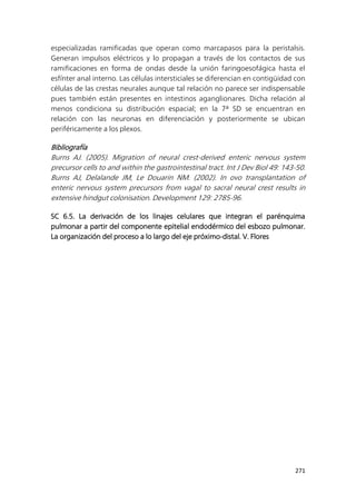 271
especializadas ramificadas que operan como marcapasos para la peristalsis.
Generan impulsos eléctricos y lo propagan a través de los contactos de sus
ramificaciones en forma de ondas desde la unión faringoesofágica hasta el
esfínter anal interno. Las células intersticiales se diferencian en contigüidad con
células de las crestas neurales aunque tal relación no parece ser indispensable
pues también están presentes en intestinos aganglionares. Dicha relación al
menos condiciona su distribución espacial; en la 7ª SD se encuentran en
relación con las neuronas en diferenciación y posteriormente se ubican
periféricamente a los plexos.
Bibliografía
Burns AJ. (2005). Migration of neural crest-derived enteric nervous system
precursor cells to and within the gastrointestinal tract. Int J Dev Biol 49: 143-50.
Burns AJ, Delalande JM, Le Douarin NM. (2002). In ovo transplantation of
enteric nervous system precursors from vagal to sacral neural crest results in
extensive hindgut colonisation. Development 129: 2785-96.
SC 6.5. La derivación de los linajes celulares que integran el parénquima
pulmonar a partir del componente epitelial endodérmico del esbozo pulmonar.
La organización del proceso a lo largo del eje próximo-distal. V. Flores
 