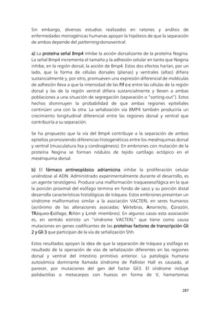 287
Sin embargo, diversos estudios realizados en ratones y análisis de
enfermedades monogénicas humanas apoyan la hipótesis de que la separación
de ambos depende del patterning dorsoventral:
a) La proteína señal Bmp4 inhibe la acción dorsalizante de la proteína Nogina.
La señal Bmp4 incrementa el tamaño y la adhesión celular en tanto que Nogina
inhibe, en la región dorsal, la acción de Bmp4. Estos dos efectos harían, por un
lado, que la forma de células dorsales (planas) y ventrales (altas) difiera
sustancialmente y, por otro, promueven una expresión diferencial de moléculas
de adhesión lleva a que la intensidad de las Fif c-c entre las células de la región
dorsal y las de la región ventral difiera sustancialmente y lleven a ambas
poblaciones a una situación de segregación (separación o “sorting-out”). Estos
hechos disminuyen la probabilidad de que ambas regiones epiteliales
continúen una con la otra. La señalización vía BMP4 también produciría un
crecimiento longitudinal diferencial entre las regiones dorsal y ventral que
contribuiría a su separación.
Se ha propuesto que la vía del Bmp4 contribuye a la separación de ambos
epitelios promoviendo diferencias histogenéticas entre los mesénquimas dorsal
y ventral (musculatura lisa y condrogénesis). En embriones con mutación de la
proteína Nogina se forman nódulos de tejido cartílago ectópico en el
mesénquima dorsal.
b) El fármaco antineoplásico adriamicina inhibe la proliferación celular
uniéndose al ADN. Administrado experimentalmente durante el desarrollo, es
un agente teratógeno. Produce una malformación traqueoesofágica en la que
la porción proximal del esófago termina en fondo de saco y su porción distal
desarrolla características histológicas de tráquea. Estos embriones presentan un
síndrome malformativo similar a la asociación VACTERL en seres humanos
(acrónimo de las alteraciones asociadas: Vértebras, Anorrecto, Corazón,
TRáqueo-Esófago, Riñón y Limb: miembros). En algunos casos esta asociación
es, en sentido estricto un “síndrome VACTERL” que tiene como causa
mutaciones en genes codificantes de las proteínas factores de transcripción Gli
2 y Gli 3 que participan de la vía de señalización Shh.
Estos resultados apoyan la idea de que la separación de tráquea y esófago es
resultado de la operación de vías de señalización diferentes en las regiones
dorsal y ventral del intestino primitivo anterior. La patología humana
autosómica dominante llamada síndrome de Pallister Hall es causada, al
parecer, por mutaciones del gen del factor Gli3. El síndrome incluye
polidactilias o metacarpos con huesos en forma de V, hamartomas
 