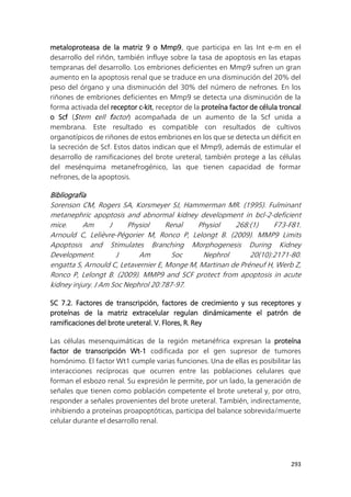 293
metaloproteasa de la matriz 9 o Mmp9, que participa en las Int e-m en el
desarrollo del riñón, también influye sobre la tasa de apoptosis en las etapas
tempranas del desarrollo. Los embriones deficientes en Mmp9 sufren un gran
aumento en la apoptosis renal que se traduce en una disminución del 20% del
peso del órgano y una disminución del 30% del número de nefrones. En los
riñones de embriones deficientes en Mmp9 se detecta una disminución de la
forma activada del receptor c-kit, receptor de la proteína factor de célula troncal
o Scf (Stem cell factor) acompañada de un aumento de la Scf unida a
membrana. Este resultado es compatible con resultados de cultivos
organotípicos de riñones de estos embriones en los que se detecta un déficit en
la secreción de Scf. Estos datos indican que el Mmp9, además de estimular el
desarrollo de ramificaciones del brote ureteral, también protege a las células
del mesénquima metanefrogénico, las que tienen capacidad de formar
nefrones, de la apoptosis.
Bibliografía
Sorenson CM, Rogers SA, Korsmeyer SJ, Hammerman MR. (1995). Fulminant
metanephric apoptosis and abnormal kidney development in bcl-2-deficient
mice. Am J Physiol Renal Physiol 268:(1) F73-F81.
Arnould C, Lelièvre-Pégorier M, Ronco P, Lelongt B. (2009). MMP9 Limits
Apoptosis and Stimulates Branching Morphogenesis During Kidney
Development. J Am Soc Nephrol 20(10):2171-80.
engatta S, Arnould C, Letavernier E, Monge M, Martinan de Préneuf H, Werb Z,
Ronco P, Lelongt B. (2009). MMP9 and SCF protect from apoptosis in acute
kidney injury. J Am Soc Nephrol 20:787-97.
SC 7.2. Factores de transcripción, factores de crecimiento y sus receptores y
proteínas de la matriz extracelular regulan dinámicamente el patrón de
ramificaciones del brote ureteral. V. Flores, R. Rey
Las células mesenquimáticas de la región metanéfrica expresan la proteína
factor de transcripción Wt-1 codificada por el gen supresor de tumores
homónimo. El factor Wt1 cumple varias funciones. Una de ellas es posibilitar las
interacciones recíprocas que ocurren entre las poblaciones celulares que
forman el esbozo renal. Su expresión le permite, por un lado, la generación de
señales que tienen como población competente el brote ureteral y, por otro,
responder a señales provenientes del brote ureteral. También, indirectamente,
inhibiendo a proteínas proapoptóticas, participa del balance sobrevida/muerte
celular durante el desarrollo renal.
 