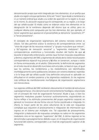 348
denominación propia que está integrada por tres elementos: a) un prefijo que
alude a la región a la que pertenece, b) la raíz “mero” (que alude a metámera) y
c) un número ordinal que alude a su orden de aparición en la región o, lo que
es lo mismo, la ubicación espacial que le corresponde, en su región, a lo largo
del eje céfalo-caudal. El modo como se ordenan estos tres elementos en la
designación de la metámera depende del idioma que se utilice, pero en
cualquier idioma está compuesto por los tres elementos. Así, por ejemplo, el
tercer segmento que aparece en el prosencéfalo se denomina “prosómero 3º”
o “tercer prosómero”.
El concepto de organización segmentaria del sistema nervioso central es
clásico. Tal idea permitió aclarar la existencia de correspondencias entre: (a)
“sitios de origen de las neuronas motoras” y “grupos musculares que inervan”,
y (b)“regiones de inervación sensorial” y “segmentos medulares”. Tales
correspondencias anatómicas y funcionales resultan del hecho de que a)
durante el desarrollo embrionario, somitas (que forman músculos esqueléticos
y dermis), segmentos del SNC y segmentos de células de la cresta neural poseen
correspondencia espacial muy precisa y b) ellas se conservan, aunque a veces
en forma enmascarada, en el adulto. Clásicamente, la definición de segmentos
en el tubo neural en desarrollo tuvo bases estructurales; se basó en que, al igual
que los somitas, los rombómeros y los medulómeros son identificables
morfológicamente como poblaciones celulares con simetría bilateral, repetidas
a la lo largo del eje céfalo-caudal. Esta definición estructural es aplicable sin
dificultad en el cerebro posterior y los segmentos medulares. En las regiones
más cefálicas las manifestaciones morfológicas de organización segmentaria
son menos claras.
Las regiones cefálicas del SNC recibieron clásicamente el nombre de estructuras
suprasegmentarias. Una denominación eminentemente fisiológica, relacionada
con el concepto de nivel de organización funcional. Alude a que, si bien los
segmentos medulares pueden funcionar autónomamente, respondiendo en
forma refleja a los estímulos provenientes del propio segmento corporal, en
general no funcionan de esa forma sino en forma coordinada e integrada. En
efecto, la mayor parte de los actos voluntarios de la vida son respuestas
complejas que requieren el procesamiento e integración de información que
ingresa en el sistema por múltiples vías. Tal capacidad de procesamiento,
integración y elaboración de respuestas complejas no radica en los segmentos
medulares sino en las regiones “superiores” del SNC. A dichas regiones se las
denominaba suprasegmentarias debido a que, en el esquema de organización
funcional del sistema, corresponden a un nivel de organización superior al de
segmento.
 