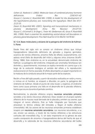 435
Cohen LE, Radovick S. (2002). Molecular basis of combined pituitary hormone
deficiencies. Endocr Rev 23(4):431-42.
Kioussi C, Carrière C, Rosenfeld MG. (1999). A model for the development of
the hypothalamic-pituitary axis: transcribing the hypophysis. Mech Dev 81(1-
2):23-35.
Dasen JS, Rosenfeld MG. (2001). Signaling and transcriptional mechanisms in
pituitary development. Annu Rev Neurosci 24:327-55.
Kioussi C, O'Connell S, St-Onge L, Treier M, Gleiberman AS, Gruss P, Rosenfeld
MG. (1999). Pax6 is essential for establishing ventral-dorsal cell boundaries in
pituitary gland development. Proc Natl Acad Sci U S A 96(25):14378-82.
SC 12.4. Bases moleculares y celulares de la patogenia del síndrome de Kallman.
V. Flores
Desde fines del siglo xviii se conoce un síndrome clínico que incluye
hipogonadismo (desarrollo deficitario de gónadas y órganos genitales),
ausencia de nervios olfatorios, anosmia (falta de olfato), ocasionalmente, con
aplasia renal (falta de desarrollo del riñón) y algunos otros síntomas (Krafft-
Ebing, 1886). Este síndrome es, en la actualidad, denominado síndrome de
Kallman. La patogenia del síndrome, integrado por anomalías fenotípicas tan
disímiles y, aparentemente, inconexas se explica teniendo en cuenta que a lo
largo de la evolución biológica el sentido del olfato y la reproducción
evolucionaron en forma asociada. El olfato desempeña un papel importante en
la madurez de la conducta sexual de la mayor parte de las especies.
Recién a fines del siglo pasado, a partir de estudios realizados en ratón y mono,
e incluso en el hombre, se empezó a dilucidar, en parte, la patogenia del
síndrome de Kallman. Desde el punto de vista tisular u orgánico, el síndrome
tiene como causa primaria una falla en el desarrollo de la placoda olfatoria,
hecho que ocurre durante el período somítico.
Normalmente, la placoda olfatoria origina neuronas sensoriales primarias
sensibles a los olores (neuronas olfatorias). Éstas residen en el propio epitelio
olfatorio de la mucosa nasal derivado de la placoda y emiten sus axones, que
integran el nervio olfatorio. Éste se halla integrado por fascículos que
atraviesan la lámina cribosa del etmoides y llegan al bulbo olfatorio
(rinencéfalo). Allí, los axones de las neuronas sensoriales primarias establecen
sinapsis con neuronas sensoriales secundarias. Las neuronas secundarias, a su
vez, envían sus axones, a través de los tractos olfatorios a las estructuras
corticales del rinencéfalo (Fig. 1). Un dato importante en la génesis de este
cuadro compuesto de anosmia a hipogonadismo deriva del hecho de que el
desarrollo y la sobrevida de las neuronas olfatorias secundarias del bulbo
 