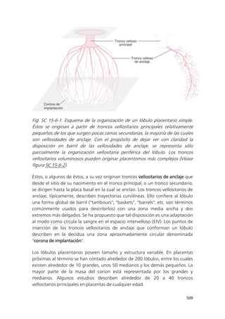 Sintesis_Flores.pdf