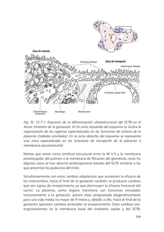 Sintesis_Flores.pdf