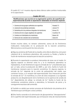 94
El cuadro SC 1-4-1 muestra algunos datos clásicos sobre cambios involucrados
en la capacitación.
Existen muchos datos, no siempre coherentes, acerca de los fenómenos
moleculares involucrados en la producción de la reacción acrosómica.
Mencionamos a continuación los más comunes:
a) Algunas proteínas del fluido de la ampolla, entre ellas la albúmina, remueven
colesterol de la membrana plasmática; ello aumenta su fluidez y facilita la
fusión de membranas necesaria para la reacción acrosómica.
b) Durante la capacitación se produce intercambio de iones con el medio. En
algunas especies se eliminan iones K+ y la la membrana plasmática se
hiperpolariza. A este fenómeno le sigue la entrada de Ca+2
y bicarbonatos que,
por un lado, activa la producción de AMPc y, por otro, facilita la fusión de
membranas necesaria para la reacción acrosómica. En algunas especies, la
entrada de Ca+2
depende de la unión de polisacáridos del medio, que
contienen fucosa, a un receptor del espermatozoide. Esta interacción permite
la entrada de Ca+2
. En mamíferos, la unión de estos receptores a sus ligandos
produciría una despolarización de la membrana con la apertura de canales de
Ca+2
dependientes de voltaje. La entrada de Ca+2
facilita la fusión de las
membranas acrosómica externa y plasmática, la formación de poros y la
consiguiente exocitosis del contenido.
c) También es sabido que existen procesos de fosforilación de proteínas de la
membrana que contribuyen a estos cambios.
d) Otro hecho conocido es la eliminación de glucoproteínas “descapacitantes”
de la superficie del espermatozoide, que enmascaran sitios de reconocimiento
 