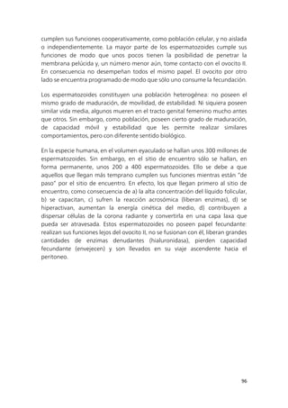 96
cumplen sus funciones cooperativamente, como población celular, y no aislada
o independientemente. La mayor parte de los espermatozoides cumple sus
funciones de modo que unos pocos tienen la posibilidad de penetrar la
membrana pelúcida y, un número menor aún, tome contacto con el ovocito II.
En consecuencia no desempeñan todos el mismo papel. El ovocito por otro
lado se encuentra programado de modo que sólo uno consume la fecundación.
Los espermatozoides constituyen una población heterogénea: no poseen el
mismo grado de maduración, de movilidad, de estabilidad. Ni siquiera poseen
similar vida media, algunos mueren en el tracto genital femenino mucho antes
que otros. Sin embargo, como población, poseen cierto grado de maduración,
de capacidad móvil y estabilidad que les permite realizar similares
comportamientos, pero con diferente sentido biológico.
En la especie humana, en el volumen eyaculado se hallan unos 300 millones de
espermatozoides. Sin embargo, en el sitio de encuentro sólo se hallan, en
forma permanente, unos 200 a 400 espermatozoides. Ello se debe a que
aquellos que llegan más temprano cumplen sus funciones mientras están “de
paso” por el sitio de encuentro. En efecto, los que llegan primero al sitio de
encuentro, como consecuencia de a) la alta concentración del líquido folicular,
b) se capacitan, c) sufren la reacción acrosómica (liberan enzimas), d) se
hiperactivan, aumentan la energía cinética del medio, d) contribuyen a
dispersar células de la corona radiante y convertirla en una capa laxa que
pueda ser atravesada. Estos espermatozoides no poseen papel fecundante:
realizan sus funciones lejos del ovocito II, no se fusionan con él, liberan grandes
cantidades de enzimas denudantes (hialuronidasa), pierden capacidad
fecundante (envejecen) y son llevados en su viaje ascendente hacia el
peritoneo.
 