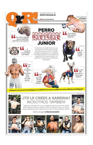 Sintesis informativa 01 04 2015