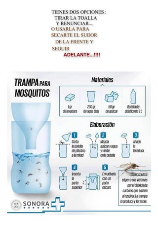 Sintesis informativa 01 04 2015