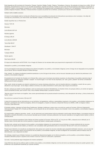 Está integrada por 68 municipios de Campeche, Chiapas, Coahuila, Hidalgo, Puebla, Tabasco, Tamaulipas y Veracruz. Se extiende a lo largo de un millón 100 mil
hectáreas, principalmente en Veracruz con casi 900 mil hectáreas, seguido de Coahuila y Puebla con poco más de 90 mil hectáreas cada estado. Comprende un
total de 671 ejidos y comunidades, ocupando 441 mil 631 hectáreas de propiedad social, principalmente en Veracruz (317 mil hectáreas) y Coahuila (62 mil). Los
pueblos indígenas Huasteco, Náhuatl y Totonaca tendrían ocupada una porción de su territorio, sumando poco más de 320 mil hectáreas.
RONDA CERO SOBRE OAXACA
Al menos 5 comunidades están en la lista de la Ronda Cero a ser susceptibles de extracción de hidrocarburos que alcanza a dos municipios; 4 de ellas del
municipio de Loma Bonita y uno más de San Juan Bautista Tuxtepec, en los límites con Veracruz
Estado Superficie has. en Ronda Cero
Oaxaca 7,091.55
Municipio
Loma Bonita 6,491.46
Núcleos agrarios
El Obispo 285.25
Loma Bonita 4,280.98
Tierra Alta 560.67
Zacatixpan 1,364.57
Municipio
Tuxtepec 600.09
Núcleo agrario
Palo Gacho 600.09
El mapa es de elaboración de NOTICIAS, Voz e Imagen de Oaxaca con los escasos datos que proporciona la organización civil CartoCrítica
Despojarán a pueblos y comunidades indígenas
Con la promulgación de las leyes secundarias de la reforma energética, los pueblos y comunidades indígenas corren el riesgo de ser despojados de la propiedad
de sus tierras, afirmó el senador Benjamín Robles Montoya.
Pues, agregó, “la vorágine privatizadora pretende apoderarse a como dé lugar de las tierras y de los recursos naturales que por derecho les pertenecen a los
pueblos y comunidades indígenas”,
El presidente de la Comisión Sur-Sureste en la Cámara Alta, sostuvo que en las leyes secundarias se genera una desventaja a los pueblos originarios bajo el
engañoso esquema de “adherirse contratar o aceptar” un acuerdo legal o no en favor de las empresas y así “usen, gocen y afecten” las tierras consideradas
idóneas para el sector energético.
Pues, anotó, donde se requiera una relación contractual con nuevas empresas productivas, como la industria eléctrica o energética, a sazón del uso, goce y
afectación a que haya lugar, “se les obliga a celebrar convenios, los cuales obviamente no serán justos, bajo ninguna circunstancia”.
De esto, subrayó que existen muchos ejemplos, como la construcción de presas hidroeléctricas, la industria minera, los parques eólicos y el cambio de régimen
social a propiedad privada, para construir más y más unidades habitacionales y proyectos turísticos.
“Algunas veces lo han hecho con engaños, otras veces aprovechándose de la precaria situación económica y de la devastación del campo, y otras a través de la
fuerza”, indicó.
No se tomó en cuenta el Convenio 160 de la OIT
A pesar de la presencia de los hidrocarburos en sus territorios, los legisladores, políticos y especialistas marginaron a los pueblos y comunidades indígenas en la
discusión y aprobación de la reforma energética, afirmó el investigador y maestro en Derecho y Desarrollo Rural por la UNAM y UAM, el indígena mixteco
Francisco López Bárcenas.
El también profesor, originario de Santa Rosa Caxtlahuaca, Santiago Juxtlahuaca, sostuvo que no se tomó en cuenta el Convenio 169 de la Organización
Internacional del Trabajo (OIT), firmado por México y así se dispone del uso del subsuelo, el agua y los minerales "como si los pueblos y comunidades indígenas
no existieran".
Es irresponsable y peligroso ignorarlos –anotó–, por las reacciones que puede generar entre los afectados cuando estas reformas llegan a concretarse porque se
afectarían su derecho al territorio y a los recursos naturales que ahí existen; al acceso preferente a los recursos naturales en los lugares donde habitan y al de la
consulta previa.
Explicó que el entonces presidente Carlos Salinas de Gortari suscribió el Convenio 169 de la OIT, el 7 de junio de 1989, y después de ser ratificado por el
Senado, pasó a formar parte de la norma suprema y ninguna ley federal o estatal puede contradecirlo.
De este modo, subrayó que el derecho de los pueblos y comunidades indígenas a la conservación de sus territorios, al acceso preferente de los recursos
naturales en los lugares donde habitan y el derecho a ser consultados están garantizados tanto en el Convenio 169 de la OIT como en la Constitución.
Precisó que el derecho a la consulta es una disposición clara porque aún cuando los recursos naturales sean propiedad del Estado mexicano, como el caso del
petróleo, “si se encuentran dentro de los territorios de los pueblos y comunidades indígenas, se tiene la obligación de consultarlos antes de realizar actos de
administración, uso o disposición de ellos”.
Sin embargo, observó que el Estado mexicano no cumplirá las disposiciones legales con la reforma energética y así los pueblos y comunidades indígenas
resultarán afectados porque ni siquiera se les nombró ni tomó en cuenta en la discusión y aprobación.
Con esto, “se les pretende seguir despojando de manera subrepticia”.
López Bárcenas dijo que los políticos ojalá no olviden a los pueblos y comunidades indígenas a la hora de tomar sus decisiones porque se pueden generar más
problemas a los actualmente existentes por razones similares.
 