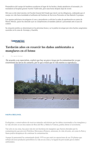 Paramédicos del cuerpo de bomberos acudieron al lugar de los hechos, donde atendieron al lesionado y lo
trasladaron al hospital general Aurelio Valdiviedo, pero unas horas después dejó de existir.
Del caso se dio intervención a la Fiscalía General del Estado que inició con las diligencias, ordenando que el
cuerpo sin vida fuera trasladado al anfiteatro del Instituto de Servicios Periciales en San Bartolo Coyotepec.
Los agentes policíacos investigaron el caso y procedieron a solicitar la orden de aprehensión en contra de
Héctor Moisés, quien fue detenido ayer en cumplimiento al mandato judicial y presentado ante el juez de
control.
Su situación jurídica se determinará en las próximas horas y se le podría investigar por otros hechos sangrientos
ocurridos en la zona de Atzompa y Zaachila.
Tardarán años en resarcir los daños ambientales a
manglares en el Istmo
Por Agustín Santiago
De acuerdo a un especialista, explicó que hay un grave riesgo por la contaminación ya que
exterminará las larvas de camarón, por lo que evitará que la vida marina se reproduzca
SALINA CRUZ, OAX.
Ecologistas y conservadores de reservas naturales advirtieron que los daños ocasionados a los manglares y
la vida silvestre en un área natura de Boca del Río y Bahía la Ventosa, podría alterar el ecosistema.
Tan solo en esa zona, hay poco más de seis hectáreas de manglares que fueron afectados por la
contaminación que provocó Petróleos Mexicanos (Pemex), asimismo, la vida silvestre, así como la flora y
fauna podría desaparecer de continuar la contaminación.
Aunque la paraestatal ha contaminado desde 1978 en que entró en operaciones de sus 26 plantas que
refinan diversos productos petrolíferos la vida en esa zona y la laguna ha provocado graves daños
ambientales.
 