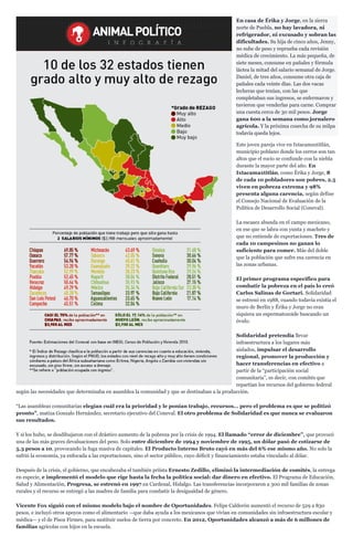 En casa de Érika y Jorge, en la sierra
norte de Puebla, no hay lavadora, ni
refrigerador, ni excusado y sobran las
dificultades. Su hija de cinco años, Jenny,
no sube de peso y reprueba cada revisión
médica de crecimiento. La más pequeña, de
siete meses, consume en pañales y fórmula
láctea la mitad del salario semanal de Jorge.
Daniel, de tres años, consume otra caja de
pañales cada veinte días. Las dos vacas
lecheras que tenían, con las que
completaban sus ingresos, se enfermaron y
tuvieron que venderlas para carne. Comprar
una cuesta cerca de 30 mil pesos. Jorge
gana 600 a la semana como jornalero
agrícola. Y la próxima cosecha de su milpa
todavía queda lejos.
Este joven pareja vive en Ixtacamaxtitlán,
municipio poblano donde los cerros son tan
altos que el rocío se confunde con la niebla
durante la mayor parte del año. En
Ixtacamaxtitlán, como Érika y Jorge, 8
de cada 10 pobladores son pobres, 2.5
viven en pobreza extrema y 98%
presenta alguna carencia, según define
el Consejo Nacional de Evaluación de la
Política de Desarrollo Social (Coneval).
La escasez abunda en el campo mexicano,
en ese que se labra con yunta y machete y
que no entiende de exportaciones. Tres de
cada 10 campesinos no ganan lo
suficiente para comer. Más del doble
que la población que sufre esa carencia en
las zonas urbanas.
El primer programa específico para
combatir la pobreza en el país lo creó
Carlos Salinas de Gortari. Solidaridad
se estrenó en 1988, cuando todavía existía el
muro de Berlín y Érika y Jorge no eran
siquiera un espermatozoide buscando un
óvulo.
Solidaridad pretendía llevar
infraestructura a los lugares más
aislados, impulsar el desarrollo
regional, promover la producción y
hacer transferencias en efectivo a
partir de la “participación social
comunitaria”, es decir, con comités que
repartían los recursos del gobierno federal
según las necesidades que determinaba en asamblea la comunidad y que se destinaban a la producción.
“Las asambleas comunitarias elegían cuál era la prioridad y le ponían trabajo, recursos… pero el problema es que se politizó
pronto”, matiza Gonzalo Hernández, secretario ejecutivo del Coneval. El otro problema de Solidaridad es que nunca se evaluaron
sus resultados.
Y si los hubo, se desdibujaron con el drástico aumento de la pobreza por la crisis de 1994. El llamado “error de diciembre”, que provocó
una de las más graves devaluaciones del peso. Solo entre diciembre de 1994 y noviembre de 1995, un dólar pasó de cotizarse de
5.3 pesos a 10, provocando la fuga masiva de capitales. El Producto Interno Bruto cayó en más del 6% ese mismo año. No solo la
sufrió la economía, ya enfocada a las exportaciones, sino el sector público, cuyo déficit y financiamiento estaba vinculado al dólar.
Después de la crisis, el gobierno, que encabezaba el también priísta Ernesto Zedillo, eliminó la intermediación de comités, la entrega
en especie, e implementó el modelo que rige hasta la fecha la política social: dar dinero en efectivo. El Programa de Educación,
Salud y Alimentación, Progresa, se estrenó en 1997 en Cardenal, Hidalgo. Las transferencias incorporaron a 300 mil familias de zonas
rurales y el recurso se entregó a las madres de familia para combatir la desigualdad de género.
Vicente Fox siguió con el mismo modelo bajo el nombre de Oportunidades. Felipe Calderón aumentó el recurso de 529 a 830
pesos, e incluyó otros apoyos como el alimentario —que daba ayuda a los mexicanos que vivían en comunidades sin infraestructura escolar y
médica— y el de Pisos Firmes, para sustituir suelos de tierra por concreto. En 2012, Oportunidades alcanzó a más de 6 millones de
familias agrícolas con hijos en la escuela.
 