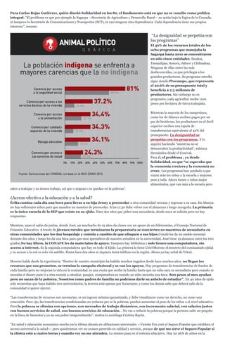 Para Carlos Rojas Gutiérrez, quién diseñó Solidaridad en los 80, el fundamento está en que no se concibe como política
integral. “El problema es que por ejemplo la Sagarpa —Secretaría de Agricultura y Desarrollo Rural— no actúa bajo la lógica de la Cruzada,
ni tampoco la Secretaría de Comunicaciones y Transportes (SCT), ni casi ninguna otra dependencia. Cada dependencia tiene sus propios
intereses”, resume.
“La desigualdad se perpetúa con
los programas”
El 40% de los recursos totales de los
ocho programas que manejaba la
Sagarpa hasta 2010 se concentraron
en sólo cinco entidades: Sinaloa,
Tamaulipas, Sonora, Jalisco y Chihuahua.
Ninguna de ellas entre las más
desfavorecidas, ya que privilegia a los
grandes productores. Su programa estrella
sigue siendo Procampo, que representa
el 20.6% de su presupuesto total y
beneficia a 2.5 millones de
productores. Sin embargo no es
progresivo, cada agricultor recibe 1100
pesos por hectárea de tierra trabajada.
Mientras la mayoría de los campesinos,
como los de Almeya reciben pagos por un
par de hectáreas, los productores en el decil
superior reciben una tajada de
transferencias equivalente al 42% del
presupuesto. La desigualdad se
perpetúa con los programas. Y lo
seguirá haciendo “mientras no se
democratice la productividad”, subraya
Hernández desde el Coneval.
Para él, el problema , ya desde
Solidaridad, es que “se esperaba que
la economía creciera y la economía no
crece. Los programas han ayudado a que
vayan más los niños a la escuela y mejoren
peso y talla. Ahora tienes a niños mejor
alimentados, que van más a la escuela pero
salen a trabajar y no tienen trabajo, así que o migran o se quedan en la pobreza”.
¿Acceso efectivo a la educación y a la salud?
Érika camina cada día una hora para llevar a su hija Jenny a preescolar a otra comunidad cercana y regresar a su casa. En Almeya
no hay suficientes niños para que manden un maestro de preescolar. A las 11:30 debe volver con el almuerzo y luego recogerla. La primaria
es la única escuela de la SEP que existe en su ejido. Hace dos años que piden una secundaria, desde 2012 se solicita pero no hay
respuestas.
Mientras, usan el salón de juntas, donde José, un muchacho de 19 años da clases con un apoyo de un fideicomiso, el Consejo Nacional de
Fomento Educativo. A través de jóvenes rurales que terminaron la preparatoria se convierten en maestros de secundaria en
otras comunidades que les dan hospedaje y comida a cambio de que eduquen a sus hijos.Conafe les da un sueldo mensual
durante dos años y luego les da una beca para que esos aprendices de maestro estudien en la universidad. José tiene 19 alumnos entre los tres
grados.No hay libros, la CONAFE les da materiales de apoyo. Tampoco hay biblioteca y solo tienen una computadora, sin
acceso a internet. Es la segunda computadora que hay en todo el Ejido. La primera la tiene Uriel Moreno el tesorero del comisariado ejidal
y su acceso a la red es solo vía satélite. Hasta hace dos años ni siquiera tenía teléfono en la región. Ahora ya hay señal de Telcel.
Moreno habla desde la experiencia: “Dentro de nuestro municipio ha habido muchos engaños desde hace muchos años, no llegan los
recursos que nos prometen, se termina la campaña electoral y se van los apoyos. Hay programas de transferencias de fondos de
cada familia pero no mejoran la vida en la comunidad, es una cuota que recibe la familia hasta que un niño saca su secundaria pero cuando se
necesita el dinero para ir a otra escuela a estudiar, pasajes, computadora es cuando un niño necesita una beca. 800 pesos al mes ayudan
pero no sacan de la pobreza. Nosotros como padres de familia no podemos darle su anhelo de estudiar”. En 40 años de ejido
solo recuerdan que haya habido tres universitarios, la tercera está apenas por licenciarse, y como los demás sabe que deberá salir de la
comunidad si quiere ejercer.
“Las transferencias de recursos son necesarias, es un ingreso mínimo garantizado, y debe visualizarse como un derecho, no como una
concesión. Pero ojo, las transferencias condicionadas no reducen per se la pobreza, pueden aumentar el peso de los niños o el nivel educativo.
Pero la pobreza se elimina con opciones, con mercados de trabajo dinámicos, con incremento salarial, con salarios justos
con buenos servicios de salud, con buenos servicios de educación… No vas a reducir la pobreza porque la persona salte un poquito
en la línea de bienestar y ya no sea pobre temporalmente”, matiza la socióloga Cristina Bayón.
“En salud y educación avanzamos mucho en la última década en afiliaciones universales —Vicente Fox creó el Seguro Popular que establece el
acceso universal a la salud—, pero quisiéramos ver un avance parecido en calidad y servicio, porque de qué me sirve el Seguro Popular si
la clínica está a cuatro horas y cuando voy no me atienden. Lo mismo pasa en el sistema educativo. Hay un 96% de niños en la
 