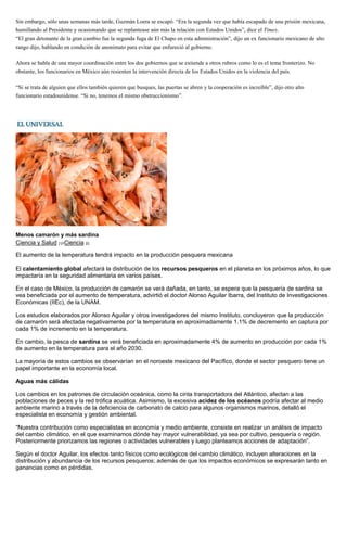 Sin embargo, sólo unas semanas más tarde, Guzmán Loera se escapó. “Era la segunda vez que había escapado de una prisión mexicana,
humillando al Presidente y ocasionando que se replantease aún más la relación con Estados Unidos”, dice el Times.
“El gran detonante de la gran cambio fue la segunda fuga de El Chapo en esta administración”, dijo un ex funcionario mexicano de alto
rango dijo, hablando en condición de anonimato para evitar que enfureció al gobierno.
Ahora se habla de una mayor coordinación entre los dos gobiernos que se extiende a otros rubros como lo es el tema fronterizo. No
obstante, los funcionarios en México aún resienten la intervención directa de los Estados Unidos en la violencia del país.
“Si se trata de alguien que ellos también quieren que busques, las puertas se abren y la cooperación es increíble”, dijo otro alto
funcionario estadounidense. “Si no, tenemos el mismo obstruccionismo”.
Menos camarón y más sardina
Ciencia y Salud [1]›Ciencia [2]
El aumento de la temperatura tendrá impacto en la producción pesquera mexicana
El calentamiento global afectará la distribución de los recursos pesqueros en el planeta en los próximos años, lo que
impactaría en la seguridad alimentaria en varios países.
En el caso de México, la producción de camarón se verá dañada, en tanto, se espera que la pesquería de sardina se
vea beneficiada por el aumento de temperatura, advirtió el doctor Alonso Aguilar Ibarra, del Instituto de Investigaciones
Económicas (IIEc), de la UNAM.
Los estudios elaborados por Alonso Aguilar y otros investigadores del mismo Instituto, concluyeron que la producción
de camarón será afectada negativamente por la temperatura en aproximadamente 1.1% de decremento en captura por
cada 1% de incremento en la temperatura.
En cambio, la pesca de sardina se verá beneficiada en aproximadamente 4% de aumento en producción por cada 1%
de aumento en la temperatura para el año 2030.
La mayoría de estos cambios se observarían en el noroeste mexicano del Pacífico, donde el sector pesquero tiene un
papel importante en la economía local.
Aguas más cálidas
Los cambios en los patrones de circulación oceánica, como la cinta transportadora del Atlántico, afectan a las
poblaciones de peces y la red trófica acuática. Asimismo, la excesiva acidez de los océanos podría afectar al medio
ambiente marino a través de la deficiencia de carbonato de calcio para algunos organismos marinos, detalló el
especialista en economía y gestión ambiental.
“Nuestra contribución como especialistas en economía y medio ambiente, consiste en realizar un análisis de impacto
del cambio climático, en el que examinamos dónde hay mayor vulnerabilidad, ya sea por cultivo, pesquería o región.
Posteriormente priorizamos las regiones o actividades vulnerables y luego planteamos acciones de adaptación”.
Según el doctor Aguilar, los efectos tanto físicos como ecológicos del cambio climático, incluyen alteraciones en la
distribución y abundancia de los recursos pesqueros; además de que los impactos económicos se expresarán tanto en
ganancias como en pérdidas.
 