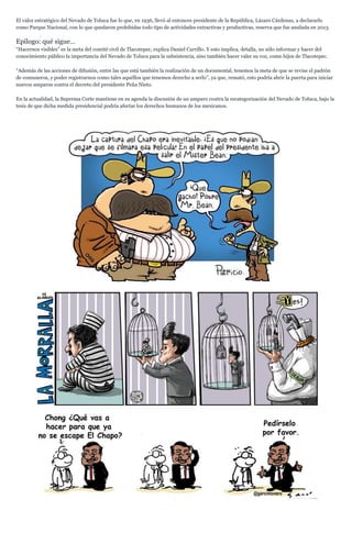 El valor estratégico del Nevado de Toluca fue lo que, en 1936, llevó al entonces presidente de la República, Lázaro Cárdenas, a declararlo
como Parque Nacional, con lo que quedaron prohibidas todo tipo de actividades extractivas y productivas, reserva que fue anulada en 2013.
Epílogo: qué sigue…
“Hacernos visibles” es la meta del comité civil de Tlacotepec, explica Daniel Carrillo. Y esto implica, detalla, no sólo informar y hacer del
conocimiento público la importancia del Nevado de Toluca para la subsistencia, sino también hacer valer su voz, como hijos de Tlacotepec.
“Además de las acciones de difusión, entre las que está también la realización de un documental, tenemos la meta de que se revise el padrón
de comuneros, y poder registrarnos como tales aquéllos que tenemos derecho a serlo”, ya que, remató, esto podría abrir la puerta para iniciar
nuevos amparos contra el decreto del presidente Peña Nieto.
En la actualidad, la Suprema Corte mantiene en su agenda la discusión de un amparo contra la recategorización del Nevado de Toluca, bajo la
tesis de que dicha medida presidencial podría afectar los derechos humanos de los mexicanos.
 