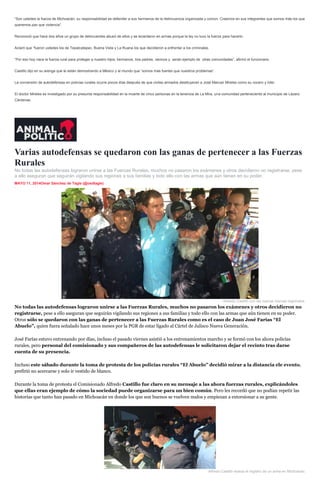 “Son ustedes la fuerza de Michoacán, su responsabilidad es defender a sus hermanos de la delincuencia organizada y común. Creemos en sus integrantes que somos más los que
queremos paz que violencia”.
Reconoció que hace dos años un grupo de delincuentes abusó de ellos y se levantaron en armas porque la ley no tuvo la fuerza para hacerlo.
Aclaró que “fueron ustedes los de Tepalcatepec, Buena Vista y La Ruana los que decidieron a enfrentar a los criminales.
“Por eso hoy nace la fuerza rural para proteger a nuestro hijos, hermanos, tíos padres, vecinos y serán ejemplo de otras comunidades”, afirmó el funcionario.
Castillo dijo en su arenga que le están demostrando a México y al mundo que “somos más fuertes que nuestros problemas”.
La conversión de autodefensas en policías rurales ocurre pocos días después de que civiles armados destituyeran a José Manuel Mireles como su vocero y líder.
El doctor Mireles es investigado por su presunta responsabilidad en la muerte de cinco personas en la tenencia de La Mira, una comunidad perteneciente al municipio de Lázaro
Cárdenas.
Varias autodefensas se quedaron con las ganas de pertenecer a las Fuerzas
Rurales
No todas las autodefensas lograron unirse a las Fuerzas Rurales, muchos no pasaron los exámenes y otros decidieron no registrarse, pese
a ello aseguran que seguirán vigilando sus regiones a sus familias y todo ello con las armas que aún tienen en su poder.
MAYO 11, 2014Omar Sánchez de Tagle (@osdtagle)
inShare
Alreedo Castillo con las nuevas fuerzas regionales.
No todas las autodefensas lograron unirse a las Fuerzas Rurales, muchos no pasaron los exámenes y otros decidieron no
registrarse, pese a ello aseguran que seguirán vigilando sus regiones a sus familias y todo ello con las armas que aún tienen en su poder.
Otros sólo se quedaron con las ganas de pertenecer a las Fuerzas Rurales como es el caso de Juan José Farías “El
Abuelo”, quien fuera señalado hace unos meses por la PGR de estar ligado al Cártel de Jalisco Nueva Generación.
José Farías estuvo entrenando por días, incluso el pasado viernes asistió a los entrenamientos marcho y se formó con los ahora policías
rurales, pero personal del comisionado y sus compañeros de las autodefensas le solicitaron dejar el recinto tras darse
cuenta de su presencia.
Incluso este sábado durante la toma de protesta de los policías rurales “El Abuelo” decidió mirar a la distancia ele evento,
prefirió no acercarse y solo ir vestido de blanco.
Durante la toma de protesta el Comisionado Alfredo Castillo fue claro en su mensaje a las ahora fuerzas rurales, explicándoles
que ellas eran ejemplo de cómo la sociedad puede organizarse para un bien común. Pero les recordó que no podían repetir las
historias que tanto han pasado en Michoacán en donde los que son buenos se vuelven malos y empiezan a extorsionar a su gente.
Alfredo Castillo realiza el registro de un arma en Michoacán.
 