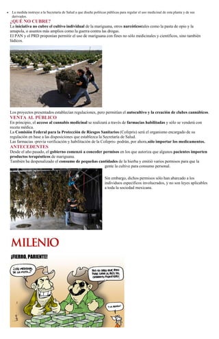 La medida instruye a la Secretaría de Salud a que diseñe políticas públicas para regular el uso medicinal de esta planta y de sus
derivados.
¿QUÉ NO CUBRE?
La iniciativa no cubre el cultivo individual de la mariguana, otros narcóticostales como la pasta de opio y la
amapola, o asuntos más amplios como la guerra contra las drogas.
El PAN y el PRD proponían permitir el uso de mariguana con fines no sólo medicinales y científicos, sino también
lúdicos.
Los proyectos presentados establecían regulaciones, pero permitían el autocultivo y la creación de clubes cannábicos.
VENTA AL PÚBLICO
En principio, el acceso al cannabis medicinal se realizará a través de farmacias habilitadas y sólo se venderá con
receta médica.
La Comisión Federal para la Protección de Riesgos Sanitarios (Cofepris) será el organismo encargado de su
regulación en base a las disposiciones que establezca la Secretaría de Salud.
Las farmacias -previa verificación y habilitación de la Cofepris- podrán, por ahora,sólo importar los medicamentos.
ANTECEDENTES
Desde el año pasado, el gobierno comenzó a conceder permisos en los que autoriza que algunos pacientes importen
productos terapéuticos de mariguana.
También ha despenalizado el consumo de pequeñas cantidades de la hierba y emitió varios permisos para que la
gente la cultive para consumo personal.
Sin embargo, dichos permisos sólo han abarcado a los
individuos específicos involucrados, y no son leyes aplicables
a toda la sociedad mexicana.
 