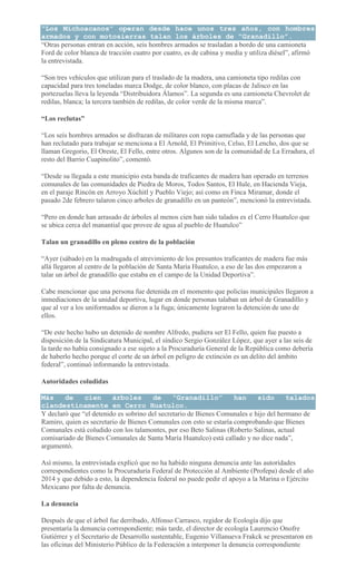 “Los Michoacanos” operan desde hace unos tres años, con hombres
armados y con motosierras talan los árboles de “Granadillo”.
“Otras personas entran en acción, seis hombres armados se trasladan a bordo de una camioneta
Ford de color blanca de tracción cuatro por cuatro, es de cabina y media y utiliza diésel”, afirmó
la entrevistada.
“Son tres vehículos que utilizan para el traslado de la madera, una camioneta tipo redilas con
capacidad para tres toneladas marca Dodge, de color blanco, con placas de Jalisco en las
portezuelas lleva la leyenda “Distribuidora Álamos”. La segunda es una camioneta Chevrolet de
redilas, blanca; la tercera también de redilas, de color verde de la misma marca”.
“Los reclutas”
“Los seis hombres armados se disfrazan de militares con ropa camuflada y de las personas que
han reclutado para trabajar se menciona a El Arnold, El Primitivo, Celso, El Lencho, dos que se
llaman Gregorio, El Oreste, El Fello, entre otros. Algunos son de la comunidad de La Erradura, el
resto del Barrio Cuapinolito”, comentó.
“Desde su llegada a este municipio esta banda de traficantes de madera han operado en terrenos
comunales de las comunidades de Piedra de Moros, Todos Santos, El Hule, en Hacienda Vieja,
en el paraje Rincón en Arroyo Xúchitl y Pueblo Viejo; así como en Finca Miramar, donde el
pasado 2de febrero talaron cinco arboles de granadillo en un panteón”, mencionó la entrevistada.
“Pero en donde han arrasado de árboles al menos cien han sido talados es el Cerro Huatulco que
se ubica cerca del manantial que provee de agua al pueblo de Huatulco”
Talan un granadillo en pleno centro de la población
“Ayer (sábado) en la madrugada el atrevimiento de los presuntos traficantes de madera fue más
allá llegaron al centro de la población de Santa María Huatulco, a eso de las dos empezaron a
talar un árbol de granadillo que estaba en el campo de la Unidad Deportiva”.
Cabe mencionar que una persona fue detenida en el momento que policías municipales llegaron a
inmediaciones de la unidad deportiva, lugar en donde personas talaban un árbol de Granadillo y
que al ver a los uniformados se dieron a la fuga; únicamente lograron la detención de uno de
ellos.
“De este hecho hubo un detenido de nombre Alfredo, pudiera ser El Fello, quien fue puesto a
disposición de la Sindicatura Municipal, el síndico Sergio González López, que ayer a las seis de
la tarde no había consignado a ese sujeto a la Procuraduría General de la República como debería
de haberlo hecho porque el corte de un árbol en peligro de extinción es un delito del ámbito
federal”, continuó informando la entrevistada.
Autoridades coludidas
Más de cien árboles de “Granadillo” han sido talados
clandestinamente en Cerro Huatulco.
Y declaró que “el detenido es sobrino del secretario de Bienes Comunales e hijo del hermano de
Ramiro, quien es secretario de Bienes Comunales con esto se estaría comprobando que Bienes
Comunales está coludido con los talamontes, por eso Beto Salinas (Roberto Salinas, actual
comisariado de Bienes Comunales de Santa María Huatulco) está callado y no dice nada”,
argumentó.
Así mismo, la entrevistada explicó que no ha habido ninguna denuncia ante las autoridades
correspondientes como la Procuraduría Federal de Protección al Ambiente (Profepa) desde el año
2014 y que debido a esto, la dependencia federal no puede pedir el apoyo a la Marina o Ejército
Mexicano por falta de denuncia.
La denuncia
Después de que el árbol fue derribado, Alfonso Carrasco, regidor de Ecología dijo que
presentaría la denuncia correspondiente; más tarde, el director de ecología Laurencio Onofre
Gutiérrez y el Secretario de Desarrollo sustentable, Eugenio Villanueva Frakck se presentaron en
las oficinas del Ministerio Público de la Federación a interponer la denuncia correspondiente
 