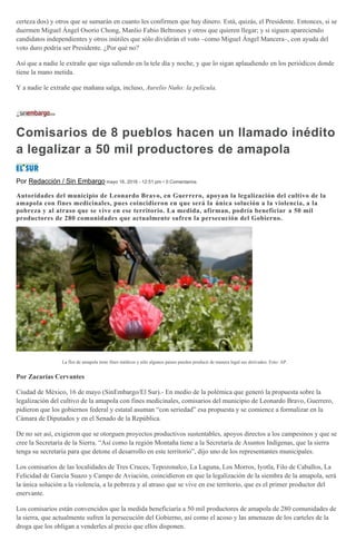 certeza dos) y otros que se sumarán en cuanto les confirmen que hay dinero. Está, quizás, el Presidente. Entonces, si se
duermen Miguel Ángel Osorio Chong, Manlio Fabio Beltrones y otros que quieren llegar; y si siguen apareciendo
candidatos independientes y otros inútiles que sólo dividirán el voto –como Miguel Ángel Mancera–, con ayuda del
voto duro podría ser Presidente. ¿Por qué no?
Así que a nadie le extrañe que siga saliendo en la tele día y noche, y que lo sigan aplaudiendo en los periódicos donde
tiene la mano metida.
Y a nadie le extrañe que mañana salga, incluso, Aurelio Nuño: la película.
Comisarios de 8 pueblos hacen un llamado inédito
a legalizar a 50 mil productores de amapola
Por Redacción / Sin Embargo mayo 16, 2016 - 12:51 pm • 0 Comentarios
Autoridades del municipio de Leonardo Bravo, en Guerrero, apoyan la legalización del cultivo de la
amapola con fines medicinales, pues coincidieron en que será la única solución a la violencia, a la
pobreza y al atraso que se vive en ese territorio. La medida, afirman, podría beneficiar a 50 mil
productores de 280 comunidades que actualmente sufren la persecución del Gobierno.
La flor de amapola tiene fines médicos y sólo algunos paises pueden producir de manera legal sus derivados. Foto: AP.
Por Zacarías Cervantes
Ciudad de México, 16 de mayo (SinEmbargo/El Sur).- En medio de la polémica que generó la propuesta sobre la
legalización del cultivo de la amapola con fines medicinales, comisarios del municipio de Leonardo Bravo, Guerrero,
pidieron que los gobiernos federal y estatal asuman “con seriedad” esa propuesta y se comience a formalizar en la
Cámara de Diputados y en el Senado de la República.
De no ser así, exigieron que se otorguen proyectos productivos sustentables, apoyos directos a los campesinos y que se
cree la Secretaría de la Sierra. “Así como la región Montaña tiene a la Secretaría de Asuntos Indígenas, que la sierra
tenga su secretaría para que detone el desarrollo en este territorio”, dijo uno de los representantes municipales.
Los comisarios de las localidades de Tres Cruces, Tepozonalco, La Laguna, Los Morros, Iyotla, Filo de Caballos, La
Felicidad de García Suazo y Campo de Aviación, coincidieron en que la legalización de la siembra de la amapola, será
la única solución a la violencia, a la pobreza y al atraso que se vive en ese territorio, que es el primer productor del
enervante.
Los comisarios están convencidos que la medida beneficiaría a 50 mil productores de amapola de 280 comunidades de
la sierra, que actualmente sufren la persecución del Gobierno, así como el acoso y las amenazas de los carteles de la
droga que los obligan a venderles al precio que ellos disponen.
 
