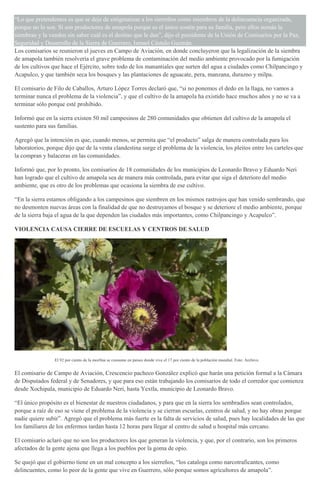 “Lo que pretendemos es que se deje de estigmatizar a los sierreños como miembros de la delincuencia organizada,
porque no lo son. Sí son productores de amapola porque es el único sostén para su familia, pero ellos nomás la
siembran y la venden sin saber cuál es el destino que le dan”, dijo el presidente de la Unión de Comisarios por la Paz,
Seguridad y Desarrollo de la Sierra de Guerrero, Ismael Cástulo Guzmán.
Los comisarios se reunieron el jueves en Campo de Aviación, en donde concluyeron que la legalización de la siembra
de amapola también resolvería el grave problema de contaminación del medio ambiente provocado por la fumigación
de los cultivos que hace el Ejército, sobre todo de los manantiales que surten del agua a ciudades como Chilpancingo y
Acapulco, y que también seca los bosques y las plantaciones de aguacate, pera, manzana, durazno y milpa.
El comisario de Filo de Caballos, Arturo López Torres declaró que, “si no ponemos el dedo en la llaga, no vamos a
terminar nunca el problema de la violencia”, y que el cultivo de la amapola ha existido hace muchos años y no se va a
terminar sólo porque esté prohibido.
Informó que en la sierra existen 50 mil campesinos de 280 comunidades que obtienen del cultivo de la amapola el
sustento para sus familias.
Agregó que la intención es que, cuando menos, se permita que “el producto” salga de manera controlada para los
laboratorios, porque dijo que de la venta clandestina surge el problema de la violencia, los pleitos entre los carteles que
la compran y balaceras en las comunidades.
Informó que, por lo pronto, los comisarios de 18 comunidades de los municipios de Leonardo Bravo y Eduardo Neri
han logrado que el cultivo de amapola sea de manera más controlada, para evitar que siga el deterioro del medio
ambiente, que es otro de los problemas que ocasiona la siembra de ese cultivo.
“En la sierra estamos obligando a los campesinos que siembren en los mismos rastrojos que han venido sembrando, que
no desmonten nuevas áreas con la finalidad de que no destruyamos el bosque y se deteriore el medio ambiente, porque
de la sierra baja el agua de la que dependen las ciudades más importantes, como Chilpancingo y Acapulco”.
VIOLENCIA CAUSA CIERRE DE ESCUELAS Y CENTROS DE SALUD
El 92 por ciento de la morfina se consume en países donde vive el 17 por ciento de la población mundial. Foto: Archivo.
El comisario de Campo de Aviación, Crescencio pacheco González explicó que harán una petición formal a la Cámara
de Disputados federal y de Senadores, y que para eso están trabajando los comisarios de todo el corredor que comienza
desde Xochipala, municipio de Eduardo Neri, hasta Yextla, municipio de Leonardo Bravo.
“El único propósito es el bienestar de nuestros ciudadanos, y para que en la sierra los sembradíos sean controlados,
porque a raíz de eso se viene el problema de la violencia y se cierran escuelas, centros de salud, y no hay obras porque
nadie quiere subir”. Agregó que el problema más fuerte es la falta de servicios de salud, pues hay localidades de las que
los familiares de los enfermos tardan hasta 12 horas para llegar al centro de salud u hospital más cercano.
El comisario aclaró que no son los productores los que generan la violencia, y que, por el contrario, son los primeros
afectados de la gente ajena que llega a los pueblos por la goma de opio.
Se quejó que el gobierno tiene en un mal concepto a los sierreños, “los cataloga como narcotraficantes, como
delincuentes, como lo peor de la gente que vive en Guerrero, sólo porque somos agricultores de amapola”.
 