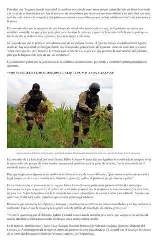 Pero dijo que “la gente tiene la necesidad de sembrar este tipo de enervantes porque quiere llevarle un plato de comida
a la mesa de su familia; por eso hay el aumento de compañeros que siembran, nos han orillado a los sierreños que sean
más los cultivadores de amapola y los gobiernos son los responsables porque no han subido los beneficios y recursos a
la sierra.
El comisario dijo que la propuesta de este bloque de autoridades municipales es que, si el gobierno no quiere que
siembren amapola, los apoye con proyectos para otro tipo de cultivos, y que cree la secretaría de la sierra, para que a
través de ella se destinen más recursos y haya más apoyo a esta zona.
Se quejó de que con el pretexto de la destrucción de los cultivos ilícitos, el Ejército fumiga con helicópteros lugares
donde no hay necesidad de fumigar, donde hay manantiales, plantaciones de aguacate, durazno, manzana, tejocotes,
“ellos dicen que no, pero nosotros lo vemos aquí en los hechos, es por eso que pedimos la intervención del gobierno,
para que lo hagan como debe de ser, sin afectarnos”.
Los comisarios piden que la destrucción de los cultivos sea como antes, por tierra, y cortando la planta para después
quemarla.
“NOS PERSIGUEN COMO CONEJOS, CUALQUIERA NOS ANDA CAZANDO”
Las incautaciones de heroína, goma de opio y semillas de amapola han aumentado enormemente en un corto período de tiempo. Foto: Cuartoscuro.
El comisario de La Felicidad de García Suazo, Pablo Márquez Marino dijo que legalizar la siembra de la amapola sería
la única solución, porque de todos modos, aunque está prohibido para la gente de la sierra, “se ha convertido en el
sostén de nuestras familias”.
Dijo que lo que para algunos es un problema de delincuencia y de narcotraficantes, “para nosotros es lo más normal y
legal porque de allí viene el sostén de la familia, y yo no veo cuál es el problema de que esto se legalice”.
En su intervención, el comisario de la Laguna, Irineo Castro Silverio, pidió a los gobiernos federal y estatal que
intervenga para que se regularice el cultivo de la amapola y explicó que la propuesta de los comisarios, “es para bien,
no para mal. Si con la legalización de la amapola nos vamos a beneficiar, le vamos a echar para adelante. Nosotros no
queremos el mal para nadie, queremos que nuestra gente salga adelante”.
Denunció que vienen los helicópteros y fumigan, y mucha gente se enferma en estas comunidades, y no hay médicos ni
medicinas. Explicó que la mayoría de la gente sufre de dolores de estómago, de cabeza, gripa y tos.
“Nosotros queremos que el Gobierno federal y estatal hagan caso de nuestras peticiones, que vengan a ver cómo está
siendo afectada la Sierra, pero nomás dicen que van a venir y nunca vienen”.
En la reunión, también estuvo Julio César Salgado Guzmán, hermano de Servando Salgado Guzmán, dirigente del
Consejo de Autotransporte de la región Centro, de quien no se sabe nada desde el 28 de abril tras el desalojo de vecinos
de la sierra que bloqueaba el bulevar Vicente Guerrero, en Chilpancingo.
 