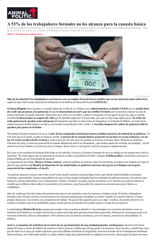 A 53% de los trabajadores formales no les alcanza para la canasta básica
La pobreza salarial ha aumentado en 10 puntos desde 2008. Mientras se quiere apostar por regularizar a los trabajadores informales, más
de la mitad de los que los se emplean formalmente no pueden sobrevivir con su sueldo.
JUNIO 17, 2014Majo Siscar (@majosiscar)
inShare
Foto: Cuartoscuro.
Más de la mitad de los trabajadores mexicanos con un empleo formal tienen sueldos que no les alcanzan para sobrevivir,
según los datos del Consejo Nacional de Evaluación de la Política de Desarrollo Social (CONEVAL).
Viviana Delgado tiene 29 años y es madre soltera de un hijo de 13. Trabaja como administrativa en Radio UNAM con un sueldo base
de 2 mil 756.30 pesos a la quincena del que le descuentan un 30% por un crédito Fovisste que le permitió comprar un casa de
interés social que no puede mantener. Hasta hace poco vivía con su madre, a quien le cooperaba con los gastos de gas, luz, agua y comida.
También le descuentan un seguro de vida que ha decidido pagar por si le pasa algo, para que su hijo tenga algún apoyo. En total, de
cada quincena le quedan unos mil pesos.El transporte que ella y su hijo toman de Ixtapaluca, en el Estado de México, al centro de la
capital mexicana donde trabaja y su hijo va a la escuela cuesta 66 pesos ida y vuelta. A tres días después de cobrar la quincena sólo le
quedan 300 pesos en la bolsa.
Al terminar el primer trimestre de 2014, el 53% de los empleados mexicanos tienen sueldos menores al umbral de la pobreza. Un
10% más que en el 2008, cuando se empezó a medir. El precio de la canasta básica aumentó en un 65% en zonas urbanas y en un
62.7% en las rurales desde el 2005 y hasta marzo de este año, pero los sueldos no lo hacen al mismo ritmo. Mientras en el primer
trimestre de 2005, el costo por persona de la canasta alimentaria más la no alimentaria –que incluye gastos de vivienda, por ejemplo–, era de
mil 661.62 en las ciudades y de mil 021.05 en el campo. Ahora está en 2 mil 554.67 y mil 627.09 pesos, respectivamente.
En lo que va de mandato de Enrique Peña Nieto se ha reducido 1.8 puntos. El primer trimestre de 2013 se redujo en tres puntos pero volvió a
remontar. “No estoy segura que la reducción de un punto se deba a las políticas de Peña”, subraya Viridiana Ríos, economista y doctora en
Política Pública por la Universidad de Harvard.
La organización que dirige, México ¿Cómo vamos?, acaba de publicar un informe sobre el crecimiento económico por estados en el que se
observa que mientras en Sinaloa la situación de los asalariados en pobreza extrema son 35.3% en Chiapas son la gran
mayoría de los empleados, el 69.5%.
“La pobreza salarial es mucho más cruda a nivel rural, donde la pobreza extrema llega al 62%, pero desde 2008 ha habido incremento
constante y generalizado. Nuestra meta debería ser que no haya ningún trabajador bajo los umbrales de pobreza extrema o de pobreza (que
incluye la canasta alimentaria y la no alimentaria)”, señala y continúa “al propio sistema económico no le interesa esa pobreza salarial, la
variable que en México más explica el crecimiento es el consumo, y que haya poder de consumo es necesario para que el dinero se
multiplique”.
Aún así, señala que hay otros tipos de transferencias que no son salariales, como las remesas o trabajos extras. De hecho, trabajadores
formales como Viviana recurren con frecuencia a la economía informal para completar su sueldo. Cuando se le acaba el dinero, Viviana
prepara desayunos y los vende a sus compañeros de trabajo. “Da para el día siguiente pero ya es algo”, confiesa. Así puede sobrevivir sin
cambiar su empleo, que le da estabilidad y seguro social, gracias al cuál ahora ha podido operar a su hijo de una fractura.
La antropóloga Miriam Bertrán asegura que muchas veces, la pobreza salarial es “una estrategia en la economía doméstica: tener un
miembro de la familia en el empleo formal da un salario muy bajo pero permite prestaciones para todos. Mientras los otros ganan más en la
economía informal o ellos se autoexplotan”. Pero estamos ante un sistema económico, que en sí mismo, promueve la informalidad y la
pobreza.
José A. es maestro de artísticas al servicio de un ayuntamiento de una ciudad pequeña michoacana. Durante siete horas
diarias de lunes a viernes da talleres de escritura a niños, jóvenes y adultos por mil 350 pesos a la quincena. Tiene 62 años, y desde hace cinco
por fin entró en el rango de sueldo suficiente para estar afiliado al Instituto de Seguridad y Servicios Sociales de los Trabajadores del Estado.
Hasta entonces, si se enfermaba acudía con algún médico amigo que prácticamente le regalaba sus servicios. Ahora paga 230 pesos de renta
 