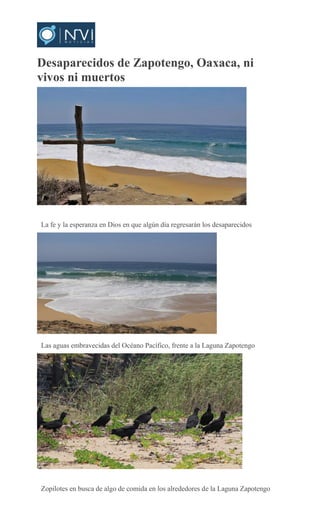 Desaparecidos de Zapotengo, Oaxaca, ni
vivos ni muertos
EMILIO
MORALES
La fe y la esperanza en Dios en que algún día regresarán los desaparecidos
EMILIO MORALES
Las aguas embravecidas del Océano Pacífico, frente a la Laguna Zapotengo
EMILIO
MORALES
Zopilotes en busca de algo de comida en los alrededores de la Laguna Zapotengo
 