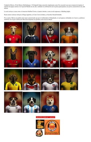 Ciudad de México, 20 de febrero (SinEmbargo).- El fotógrafo belga conocido simplemente como Eric encontró una nueva manera de inspirar el
espíritu de equipo camino a la Copa del Mundo de este año, mediante la combinación de los países participantes con perros característicos de cada
nación.
La serie incluye a razas como el American Stafford Terrier, el pastor alemán y como era de esperarse, el Bulldog Inglés.
Razas menos icónicas incluyen al Dogo argentino, el Cane Corso de Italia y el Kooiker Hound holandés.
Por su parte, México no podría estar mejor caracterizado que por el emblemático Chihuahueño, el cual aparece enfundado en el nuevo y polémico
uniforme con el que la Selección Mexicana disputará sus partidos como local en Brasil.

 