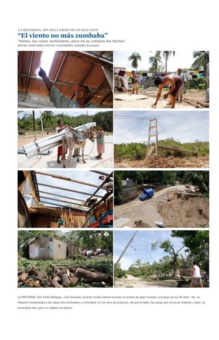 LA REFORMA, SIN RECUERDO DE HURACANES

“El viento no más zumbaba”
“Antes, las casas rechinaban, pero no se volaban los techos”
RACIEL MARTINEZ/FOTOS: ALEJANDRO AQUINO Enviados




LA REFORMA, San Pedro Mixtepec.- Don Nicandro Jiménez Cortés intenta recordar el nombre de algún huracán, a lo largo de sus 85 años: “No, no.
Pasaban tempestades y las casas sólo rechinaban y rechinaban. En los años de chamaco, del que le hablo, las casas eran de puras maderas y tejas, se
amarraban bien, pero no volaban los techos”.
 