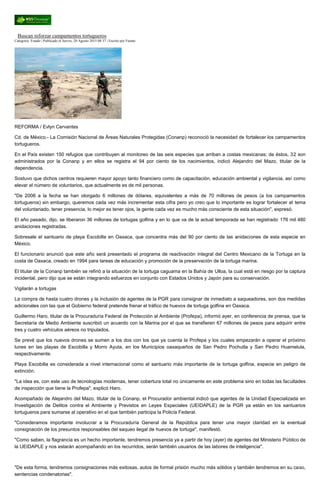 Buscan reforzar campamentos tortugueros
Categoría: Estado | Publicado el Jueves, 20 Agosto 2015 08:37 | Escrito por Fuente
REFORMA / Evlyn Cervantes
Cd. de México.- La Comisión Nacional de Áreas Naturales Protegidas (Conanp) reconoció la necesidad de fortalecer los campamentos
tortugueros.
En el País existen 150 refugios que contribuyen al monitoreo de las seis especies que arriban a costas mexicanas; de éstos, 32 son
administrados por la Conanp y en ellos se registra el 94 por ciento de los nacimientos, indicó Alejandro del Mazo, titular de la
dependencia.
Sostuvo que dichos centros requieren mayor apoyo tanto financiero como de capacitación, educación ambiental y vigilancia, así como
elevar el número de voluntarios, que actualmente es de mil personas.
"De 2006 a la fecha se han otorgado 6 millones de dólares, equivalentes a más de 70 millones de pesos (a los campamentos
tortugueros) sin embargo, queremos cada vez más incrementar esta cifra pero yo creo que lo importante es lograr fortalecer el tema
del voluntariado, tener presencia, lo mejor es tener ojos, la gente cada vez es mucho más consciente de esta situación", expresó.
El año pasado, dijo, se liberaron 36 millones de tortugas golfina y en lo que va de la actual temporada se han registrado 176 mil 480
anidaciones registradas.
Sobresale el santuario de playa Escobilla en Oaxaca, que concentra más del 90 por ciento de las anidaciones de esta especie en
México.
El funcionario anunció que este año será presentado el programa de reactivación integral del Centro Mexicano de la Tortuga en la
costa de Oaxaca, creado en 1994 para tareas de educación y promoción de la preservación de la tortuga marina.
El titular de la Conanp también se refirió a la situación de la tortuga caguama en la Bahía de Ulloa, la cual está en riesgo por la captura
incidental, pero dijo que se están integrando esfuerzos en conjunto con Estados Unidos y Japón para su conservación.
Vigilarán a tortugas
La compra de hasta cuatro drones y la inclusión de agentes de la PGR para consignar de inmediato a saqueadores, son dos medidas
adicionales con las que el Gobierno federal pretende frenar el tráfico de huevos de tortuga golfina en Oaxaca.
Guillermo Haro, titular de la Procuraduría Federal de Protección al Ambiente (Profepa), informó ayer, en conferencia de prensa, que la
Secretaría de Medio Ambiente suscribió un acuerdo con la Marina por el que se transfieren 67 millones de pesos para adquirir entre
tres y cuatro vehículos aéreos no tripulados.
Se prevé que los nuevos drones se sumen a los dos con los que ya cuenta la Profepa y los cuales empezarán a operar el próximo
lunes en las playas de Escobilla y Morro Ayuta, en los Municipios oaxaqueños de San Pedro Pochutla y San Pedro Huamelula,
respectivamente.
Playa Escobilla es considerada a nivel internacional como el santuario más importante de la tortuga golfina, especie en peligro de
extinción.
"La idea es, con este uso de tecnologías modernas, tener cobertura total no únicamente en este problema sino en todas las facultades
de inspección que tiene la Profepa", explicó Haro.
Acompañado de Alejandro del Mazo, titular de la Conanp, el Procurador ambiental indicó que agentes de la Unidad Especializada en
Investigación de Delitos contra el Ambiente y Previstos en Leyes Especiales (UEIDAPLE) de la PGR ya están en los santuarios
tortugueros para sumarse al operativo en el que también participa la Policía Federal.
"Consideramos importante involucrar a la Procuraduría General de la República para tener una mayor claridad en la eventual
consignación de los presuntos responsables del saqueo ilegal de huevos de tortuga", manifestó.
"Como saben, la flagrancia es un hecho importante, tendremos presencia ya a partir de hoy (ayer) de agentes del Ministerio Público de
la UEIDAPLE y nos estarán acompañando en los recurridos, serán también usuarios de las labores de inteligencia".
"De esta forma, tendremos consignaciones más exitosas, autos de formal prisión mucho más sólidos y también tendremos en su caso,
sentencias condenatorias".
 