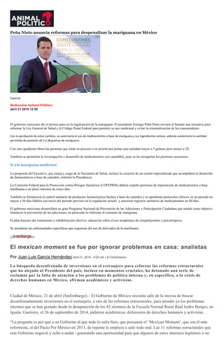 Peña Nieto anuncia reformas para despenalizar la mariguana en México
Especial
Redacción Animal Político
abril 21 2016 12:59
El gobierno mexicano dio el primer paso en la legalización de la mariguana. El presidente Enrique Peña Nieto enviará al Senado una iniciativa para
reformar la Ley General de Salud y el Código Penal Federal para permitir su uso medicinal y evitar la criminalización de los consumidores.
Con la aprobación de estos cambios, se autorizaría el uso de medicamentos a base de mariguana y sus ingredientes activos; además aumentaría la cantidad
permitida de posesión de 5 a 28 gramos de mariguana.
Con esto quedarían libres las personas que están en proceso o en prisión por portar una cantidad mayor a 5 gramos pero menor a 28.
También se permitiría la investigación y desarrollo de medicamentos con cannabbis, pues se les otorgarían los permisos necesarios.
Sí a la mariguana medicinal
La propuesta del Ejecutivo, que estará a cargo de la Secretaría de Salud, incluye la creación de un comité especializado que acompañará el desarrollo
de farmacéuticos a base de cannabis, informó la Presidencia.
La Comisión Federal para la Protección contra Riesgos Sanitarios (COFEPRIS) deberá expedir permisos de importación de medicamentos a base
marihuana a un plazo máximo de cinco días.
También se fortalecerá el control sanitario de productos farmacéuticos hechos a base de cannabis y se aprobarán protocolos clínicos en un periodo no
mayor a 30 días hábiles (un tercio del periodo previsto en la regulación actual) y autorizar registros sanitarios de medicamentos en 60 días.
El gobierno mexicano desarrollará un gran Programa Nacional de Prevención de las Adicciones y Participación Ciudadana que tendrá como objetivo
fortalecer la prevención de las adicciones, en particular lo referente al consumo de mariguana.
El plan buscara dar tratamiento y rehabilitación efectiva; educación sobre el uso terapéutico de estupefacientes y psicotrópicos.
Se atenderán las enfermedades específicas que requieran del uso de derivados de la marihuana.
El mexican moment se fue por ignorar problemas en casa: analistas
Por Juan Luis García Hernández abril 21, 2016 - 8:20 am • 8 Comentarios
La búsqueda desenfrenada de inversiones en el extranjero para reforzar las reformas estructurales
que ha alejado al Presidente del país, incluso en momentos cruciales, ha detonado una serie de
reclamos por la falta de atención a los problemas de política interna y, en específico, a la crisis de
derechos humanos en México, afirman académicos y activistas.
Ciudad de México, 21 de abril (SinEmbargo).– El Gobierno de México necesita salir de la inercia de buscar
desenfrenadamente inversiones en el extranjero, a raíz de las reformas estructurales, para atender ya los problemas
internos que se han gestado desde la desaparición de los 43 alumnos de la Escuela Normal Rural Raúl Isidro Burgos, en
Iguala, Guerrero, el 26 de septiembre de 2014, pidieron académicos, defensores de derechos humanos y activistas.
“La pregunta es por qué a un Gobierno al que todo lo salía bien, que presumía el ‘Mexican Moment’, que era el más
reformista, el del Pacto Por México en 2013, de repente le empieza a salir todo mal. Las 11 reformas estructurales que
este Gobierno negoció y echó a andar –generando una oportunidad para que algunos de estos intereses legítimos o no
 