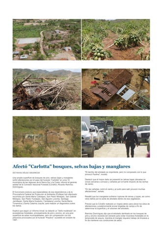 Afectó "Carlotta" bosques, selvas bajas y manglares
OCTAVIO VÉLEZ ASCENCIO                                                       "El derribo del arbolado es importante, pero no comparado con lo que
                                                                             provocó Paulina", insistió.
Una amplia superficie de bosques de pino, selvas bajas y manglares
sufrió afectaciones por el paso del huracán "Carlotta" en unos 10            Destacó que el mayor daño se presentó en selvas bajas ubicadas en
municipios de las regiones de la Sierra Sur y la Costa, informó el gerente   zonas cercanas a arroyos y cañadas por el fuerte impacto de las rachas
estatal de la Comisión Nacional Forestal (Conafor), Ricardo Ramírez          de viento.
Domínguez.
                                                                             "En las cañadas, entró el viento y al subir para salir provocó muchas
El funcionario sostuvo que especialistas de esa dependencia y de la          afectaciones", señaló.
Procuraduría Federal de Protección al Ambiente (Profepa) han efectuado
recorridos por Santa María Colotepec, San Pedro Mixtepec, San Gabriel        Resaltó que los manglares sufrieron rupturas de ramas y copas, así como
Mixtepec, San Pedro Tututepec, San Agustín Loxicha, Santiago                 otros daños por la caída de arbolado dentro de esa vegetación.
Jamiltepec, Santa María Huatulco, Candelaria Loxicha, Santa María
Tonameca y Santa Catarina Juquila, para realizar un diagnóstico sobre        Precisó que la Conafor realizará un mapeo aéreo para ubicar los sitios de
los daños.                                                                   afectaciones y posteriormente enviar brigadas de campo a fin de
                                                                             determinar la superficie y el volumen del arbolado.
Explicó que según un informe inicial, se detectó un "daño moderado" en
ecosistemas forestales, principalmente de pino y encino, en una gran         Ramírez Domínguez dijo que el arbolado derribado en los bosques de
superficie de estas municipalidades, pero sin comparación con los            pino y encino necesita ser extraído para evitar incendios forestales en la
perjuicios provocados por el huracán "Paulina", sucedido en octubre de       temporada de sequía, mientras el manglar requiere trabajo de limpieza a
1997.                                                                        fin de mantener sus condiciones de salud.
 