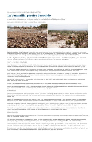 EL ALCALDE DE TONAMECA MINIMIZA DAÑOS

La Ventanilla, paraíso destruido
A siete días del desastre, el olvido: nadie ha visitado la localidad ecoturística

ISMAEL GARCÍA MORALS/FOTOS: MARIO JIMÉNEZ L./ENVIADOS




La Ventanilla, Santa María Tonameca.- Literalmente es un paraíso destruido. Y ahora además olvidado. Otrora orgullo por la preservación de diversas
especies y la reproducción de cocodrilos, la localidad, la laguna y la isla fueron arrasadas por Carlotta. La destrucción de los manglares, hábitat que da vida
al centro ecoturístico, pone en riesgo la continuidad del proyecto de la Unidad de Manejo para la Conservación de la Vida Silvestre (UMA).

Aunado a ello, la mayor parte de sus aproximadamente 35 familias sufrieron pérdidas en sus viviendas a causa del huracán y hasta ayer, ni el presidente
municipal de Tonameca, Salomón Reyes García, ni representantes estatales o federales han acudido en su desgracia.

GOLPE A PROYECTO ECOLÓGICO

Hace 15 años, casi a la par de Paulina, surgió la iniciativa comunitaria de esta pequeña localidad de emprender el rescate y conservación de su riqueza
natural; una playa, la laguna y la isla La Ventanilla, en la que paulatinamente se ha convertido en un espacio para la preservación de la fauna y la flora.

El 5 de junio de este año habían liberado 120 cocodrilos que fueron criados en cautiverio, para incrementar las más de mil 500 reptiles que existen; un mes
antes se habían puesto en libertad 92 pericos frente naranja, asegurados por la Profepa a particulares en distintas localidades de la entidad.

Hasta antes de la llegada de Carlotta, la UMA tenía en conservación y reproducción más de 20 cocodrilos, dos manatíes, un mono araña, 18 venados, un
halcón, un mapache y tortugas; hoy no han hecho el recuento de cuántas especies desaparecieron, pues las cercas y los techos que se tenían
resguardados fueron tirados por los vientos.

Asimismo, un museo comunitario y un restaurante; todo se vino abajo. En tanto, toda la playa quedó llena de basura, troncos y distintos desechos, que
hasta ahora no han podido ser retirados.

Aunado a ello, todos los manglares prácticamente fueron tirados, lo que impactará en distintas formas a la flora y la fauna de ese tesoro natural.

Multitud de aves y reptiles pueblan la zona y ahora se encuentran en riesgo; lo mismo se puede encontrar los pájaro carpintero, martín pescador, pato buzo
y una inmensa variedad de garzas, cocodrilos e iguanas, muchas de ellas en peligro de extinción.

EL ABANDONO

La preocupación del integrante de la Cooperativa de Servicios Ecoturísticos La Ventanilla, Bonifacio Cortés no es menor. “De esto vivían nuestras familias;
todos teníamos aquí nuestro sustento de vida; hoy, casas, cabañas y dos restaurantes fueron destruidos en su totalidad y no vemos cuándo nos vayan a
ayudar”, dice.

Explica que ninguna autoridad municipal se ha acercado a ellos. “Qué va a venir el presidente municipal, si anda declarando que todo en Tonameca está
bien, que hubo pocos daños; pero aquí nadie se ha venido a parar. Nosotros tuvimos que limpiar nuestro camino, levantar poco a poco nuestras casas”…

De acuerdo con diversos pobladores, el edil de extracción perredista, que ganó la presidencia bajo la coalición “Unidos por la paz y el progreso”, anda más
ocupado apoyando con personal y recursos públicos la campaña del candidato al Senado de la República, Benjamín Robles Montoya.

“No se vale que jueguen con nuestra necesidad; no se vale que se aprovechen que no somos políticos, sino que únicamente buscamos el beneficio de
nuestra gente; por otros lados andan tirando dinero en las campañas y acá siempre nos dicen que no hay”, refieren.

LA DESTRUCCIÓN

La Ventanilla es una pequeña localidad ubicada a unos 13 kilómetros de la carretera federal costera; tiene acceso por vía pavimentada tanto por Tonameca
como por Puerto Ángel, pasando Zipolite.

Los moradores conformaron una cooperativa para instalar su centro ecoturístico, con el respaldo de autoridades federales; ofrecen al visitante paseos a
caballo por la playa, hospedaje en cabañas y recorridos por la zona de la laguna, para conocer la fauna, y por la UMA. Todo está destruido hoy.

“Apenas empiezan a venir, después de siete días, hoy (ayer) en la mañana vino un regidor, dijo que nos iban a ayudar pero no vemos nada; del presidente
municipal ni sus luces; no sabe nada, ni siquiera sabe qué pasó con el manglar”, remata don Bonifacio, quien lleva a los reporteros a recorrer la zona.

El otro testimonio es de Galo Escamilla Martínez, morador de Ventanilla, quien relata que el representante de la localidad, Atanasio Martínez, ha tenido que
acudir continuamente a la cabecera municipal para buscar ayuda, pero hasta ahora nadie le ha hecho caso.
 