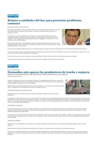 Reúnen a entidades del Sur para presentar problemas
comunes
ALFONSO BELMAR/FOTO:ARCHIVO

El senador de la República, Benjamín Robles Montoya y los diputados federales, Rosendo Serrano,
Mario Rafael Méndez y Roberto López Rosado, anunciaron la celebración del primer foro “La
perspectiva del sur”.

En conferencia de prensa, detallaron que en este encuentro se abordarán temas de políticas
públicas para lograr el desarrollo social de la región sur-sureste del país, conformada por nueve
entidades, cuyos representantes de los poderes Ejecutivo y Legislativo se reunirán el 16 y 17 de
noviembre en la capital oaxaqueña.

Ello, indicaron, para hacer un planteamiento conjunto sobre las necesidades de los estados, con el
fin de presentarlas ante el nuevo gobierno federal que encabezará Enrique Peña Nieto y que tomará
protesta el próximo 1 de diciembre.

En este sentido, Robles Montoya aseguró que no se puede tratar como igual a los que son desiguales, de ahí la necesidad de efectuar este encuentro.

Y es que dijo, el 98 por ciento de la infraestructura hidro-agrícola se encuentra en el norte de la República, mientras que sólo el dos por ciento en el sur, de
ahí que se requieran políticas equitativas con trato digno.

Así también, apuntó, se tratará lo referente a soberanía alimentaria, empleo, industria, entre otros temas que preocupan a la región.

Abundó que las propuestas que emanen del foro tendrán que ser agregadas al Plan Nacional de Desarrollo.




EN LA ENTIDAD

Demandan más apoyos los productores de trucha y mojarra
PIDEN LA REALIZACIÓN DE UNA EXPOFERIA PARA REACTIVAR LA ACTIVIDAD
SILVIA CHAVELA RIVAS


Oaxaca se distingue por ser uno de los estados productores y comercializadores de trucha y mojarra. Sin
embargo, integrantes de este sector demandaron apoyos para reactivar la actividad. Por ello externaron su
deseo de realizar una Feria de la Trucha y la Mojarra.

Integrantes del Comité Estatal Sistema Producto Trucha y Tilapia A.C., demandaron más apoyos para este
sector, y agregaron que en Oaxaca hay al menos 20 unidades acuícolas.

INTENTAN PROMOVER LA ACUACULTURA

Señalaron que han tenido algunos apoyos en equipo y tecnología, infraestructura e insumos para
acuacultura.

Sin embargo, el objetivo principal es dar a conocer al público en general cómo se está desarrollando la acuacultura en Oaxaca a través de los proyectos de
producción de trucha y tilapia en las comunidades rurales, y cómo estos proyectos están contribuyendo a la producción de alimentos sanos y de alta calidad
como lo es el pescado para mejorar la dieta de los habitantes que habitan en las comunidades donde se desarrollan y así mismo abastecen el mercado de
consumo en las zonas urbanas aledañas.

DETONANTE ECONÓMICO

Los productores señalaron que la cría de trucha y mojarra es un detonante para el desarrollo económico de las comunidades, ya que es una actividad
rentable y de bajo impacto al ambiente al requerirse espacios pequeños en los que se obtienen producciones significativas en comparación con otras
actividades agropecuarias tradicionales.

"La trucha es un pez que se desarrolla en aguas frías de montaña como en la Sierra Norte, Sierra Sur, Cañada, y la tilapia es una especie que se desarrolla
en aguas cálidas a templadas como en la Costa, Istmo, Papaloapan, Valles Centrales y Mixteca", expuso Gervasio Torres, integrante del Sistema Producto
Trucha y Tilapia.

TRISTES RECUERDOS

Recordó que en años anteriores, por estas fechas, se realizaban expoferias de este alimento, donde además se preparaban platillos a base de estas
especies.

Además asistían alumnos de instituciones académicas que cuentan con carreras afines con el entorno y la producción acuícola.

De igual forma, se exhibían las diferentes tecnologías y equipos utilizados para el desarrollo de esta actividad y se daban a conocer algunas empresas
dedicadas al suministro de equipos y servicios que se proveen en el estado, además de instituciones de financiamiento para el desarrollo de este tipo de
proyectos.
 