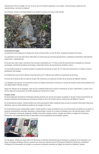 interacciones entre el manglar, los ríos, la duna, la zona marítima adyacente y los corales, o que provoque cambios en las
características y servicios ecológicos”.
Sin embargo, Fonatur y los desarrolladores ya estaban exentos e inmunes a este decreto.
Contraofensiva legal
La resistencia civil iniciada por la destrucción de los primeros lotes, en julio de 2015, complicó los planes de Fonatur.
Los plantones en los tres lotes fueron reforzados con denuncias que diversas agrupaciones y ciudadanos presentaron ante distintos
organismos y dependencias.
El recurso que cobró mayor resonancia fue el amparo presentado por 113 niños contra las autorizaciones otorgadas por diversas
autoridades, incluida la Secretaría de Ecología y Desarrollo Urbano del ayuntamiento de Benito Juárez.
Un juez federal otorgó en noviembre pasado la suspensión provisional en favor de 113 niños que promovieron un amparo contra la
devastación del manglar.
El problema fue que al mismo tiempo el juez fijó fianza de 21 millones para ratificar la suspensión de las obras.
El monto de la fianza se fijó con base en la tasa TIIE a 28 días y en proporción al valor de los terrenos de Malecón Tajamar.
Los abogados que apoyan el movimiento en favor de Tajamar promovieron entonces un recurso de revisión sobre la fianza fijada por el
juez Miguel Nahim Nicolás Jiménez.
Según los cálculos de los abogados, este recurso incidental tardaría tres meses en resolverse, es decir, hasta febrero, cuando ya no
tendría vigencia la autorización de la MIA otorgada por Semarnat a Fonatur.
Fonatur mintió
El Centro Mexicano de Derecho Ambiental (Cemda) presentó otro recurso de amparo el pasado 31 de julio contra la Autorización de
Impacto Ambiental condicionada que la Semarnat otorgó en favor del Fonatur para la construcción del Malecón Tajamar.
En la demanda de amparo, Cemda sostiene que dicha autorización debe invalidarse toda vez que se presentó información falsa para
obtenerla, pues se omitió señalar la existencia de manglar en la zona.
En la demanda el grupo ambientalista resaltó: “resulta extraño y hasta contradictorio que en la Autorización se señale que el predio no
presenta características naturales relevantes o excepcionales, cuando en la misma se establece que, del total del predio, el 64%
(37.61 hectáreas) comprende vegetación hidrófila, entre ellas manglar primario, manglar secundario y manglar de Conocarpus-
Rhizophora”, los cuales además sólo se desarrollan en los ecosistemas de humedales costeros.
El 4 de agosto, dotada con unas cuatro mil 350 firmas, la activista Araceli Domínguez Rodríguez, presidenta de la asociación civil
Grupo Ecologista del Mayab (Gema), presentó una denuncia colectiva ante la Procuraduría Federal de Protección al Ambiente
(Profepa) por la devastación de mangle y una decena de especies silvestres en peligro de extinción en Malecón Tajamar.
 