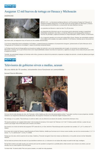 Aseguran 12 mil huevos de tortuga en Oaxaca y Michoacán
AGENCIAS
MÉXICO, D.F..- La Secretaría de Marina (Semar) y la Procuraduría Federal de Protección al
Ambiente (Profepa) aseguraron 12 mil 188 huevos de tortuga golfina en Michoacán y Oaxaca
durante operativos de protección y conservación de estas especies marinas.
Los operativos se llevaron a cabo los días 19 y 20 de enero.
Las dependencias informaron que en una primera acción elementos navales e inspectores
ambientales recolectaron dos nidos y un total de 188 huevos de tortuga golfina durante un
recorrido de patrullaje y vigilancia terrestres en Playa Mexiquillo y Barra Tupitina, en Michoacán.
En un segundo operativo en la zona de la playa Morro Ayuta, Oaxaca, las autoridades avistaron
en la maleza ocho costales, los cuales contenían 10 mil huevos, mientras que en otra acción en
ese mismo sitio, se aseguraron dos mil huevos en tres costales abandonados.
“Los huevos asegurados fueron entregados a la Profepa, y posteriormente los trasladaron al campamento tortuguero, perteneciente al Centro Mexicano de la
Tortuga para ser incubados en el tortugario”, explicó la autoridad ambiental federal.
La Profepa recordó que la tortuga golfina se encuentra en peligro de extinción y es la más representativa de la región, al concentrar sus anidaciones en
Michoacán y Oaxaca, por lo que la Semar tiene como responsabilidades realizar recorridos de inspección y vigilancia en playas de las costas del país para evitar
el saqueo de huevos.
También, las autoridades trabajan en fomentar entre niños y jóvenes la cultura de la protección a especies en peligro de extinción, a través de pláticas para lograr
una concientización.
Televisores de gobierno sirven a medias, acusan
De una oferta de 10 canales, únicamente cinco funcionan en comunidades
Ismael García Morales
Con sus más de siete décadas de vida, don Fortunato y doña Catalina ya sólo viven del asistencialismo oficial. Y por estar inscritos en esos programas, también
recibieron sus respectivos televisores de pantalla plana, del programa Transición a la Televisión Digital Terrestre (TDT).
Sin embargo, en su pueblo, Tlacochahuaya, la señal es débil y de una oferta de una decena de canales, únicamente sintonizan cinco.
"Ni siquiera podemos ver nuestras telenovelas", dice la pareja de ancianos. Ni el canal 2 de Televisa ni el 13 de Tv Azteca pueden disfrutar, a pesar de que
tuvieron que erogar más de 400 pesos para comprar una antena.
De acuerdo con el sitio de internet del programa TDT (www.tdt.mx), en San Jerónimo Tlacochahuaya sólo se perciben dos canales, el 7 y el 13, ambos de Tv
Azteca.
En el caso de la ciudad de Oaxaca, específicamente el Centro Histórico, detalla que funcionan por lo menos nueve canales, que son los convencionales, 2, 5, 7, 9
(local), 11 y 13, además del 11, el 22 y Tv UNAM.
Pareja que vive sola, ante la ausencia de sus hijos, Catalina y Fortunato recogieron hace dos meses sus televisores, en el pueblo cercano de San Sebastián
Abasolo.
No fue hasta los primeros días de enero en que decidieron estrenar uno. Lo colocaron en una repisa alta; abajo se quedó la tele vieja, analógica.
No fue fácil; tuvieron que pedir ayuda a sus vecinos para que les ayudaran a programar su pantalla plana; antes tuvieron que comprar una antena, que aún
sencilla, tuvo un costo superior a los 400 pesos.
Ya tienen tele. Ya tienen señal. Pero son pocos canales y no están los más populares.
 