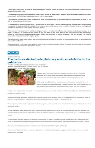 Destacó que el pueblo huave se declaró en resistencia e integró la Asamblea General del Pueblo de San Dionisio y resguardar el palacio municipal,
que abandonó el alcalde priísta.

Un presidente municipal no puede decidir sobre todos nosotros ni poner en peligro nuestra existencia. Ahora estamos en defensa de lo nuestro,
porque hasta la isla Tileme, lugar sagrado para nosotros, está en riesgo, agregó.

 Los inconformes informaron que el nuevo comisariado de bienes comunales interpuso un recurso ante el tribunal unitario agrario del distrito 22, con
sede en Tuxtepec, para anular el contrato.

 La queja señala que el pueblo huave se opone a la construcción del parque eólico y de cinco puertos de atraque. Sostienen que el proyecto implica
un despojo de tierras, daños a la biodiversidad (en la zona hay manglares, selva, lagunas, peces y aves), la profanación de sus centros religiosos y,
sobre todo, la pérdida de su fuente principal de sustento, la pesca.

 Para nosotros el mar es sagrado. En esta isla, en la laguna Superior y en la barra Santa Teresa, hay una alta productividad pesquera que da de
comer a los ikojts y a los zapotecos de San Dionisio del Mar, San Mateo del Mar, Santa María del Mar, San Francisco del Mar, Unión Hidalgo,
Chicapa de Castro, Juchitán de Zaragoza y Santa María Xadani. Si se construyen los puertos de atraque, o más bien de atraco, y se instala el
parque eólico, nos estarían cortando la yugular, apuntó.

García Sosa advirtió que el pueblo ikojts ha determinado defender su territorio y el mar por todos los medios posibles y luchar por la cancelación del
parque eólico San Dionisio.

Estamos dispuestos a todo, y si ahí se va la vida, ni modo. Si hay una consulta y el pueblo dice que sí, adelante, pero si dice que no, que respeten
nuestra decisión. El pueblo tiene la última palabra, terminó.




EN LA ESMALTA

Productores afectados de plátano y maíz, en el olvido de los
gobiernos
Fuertes vientos por el paso del huracán “Ernesto”
No han sido tomados en cuenta nunca por el Fonden
CARLOS VALIS/ FOTOS: CHRISTIAN BARRIOS



                                                       Tuxtepec, Oax.-Productores principalmente de plátano macho y de maíz de la comunidad
                                                       tuxtepecana de La Esmalta exigen a los gobiernos federal, estatal y municipal apoyo por la
                                                       devastación de aproximadamente 50 hectáreas informó el comisariado ejidal Aran Cruz.


                                                       Señaló que al menos 28 familias que dependen de este cultivo quedaron devastadas. “de por sí,
                                                       tenemos que vender muy barato a los coyotes y aparte la producción cada quince días está entre 300
                                                       kilos y media tonelada, por hectárea, ahora estaremos más hundidos en la crisis económica”.


“Los tres niveles de gobierno han desarropado a los productores de esta zona, no han dado nada, ni el Fondo Nacional de Desastres Naturales (Fonden) ha
intercedido por nosotros”, indicó.


“Requerimos herbicidas, fertilizantes, queremos volver a levantar nuestros cultivos de plátano macho, ya que si antes era poco lo que podíamos aportar al
hogar, con una ganancia mínima, ahora estamos hasta endeudados y debemos sacar adelante a nuestras familias”, dijo.


“Ni siquiera somos beneficiarios de empleo temporal o de otros programas, estamos pasando un mal momento dentro de lo que es el desarrollo de nuestros
agricultores”, señaló.


“Si a eso le aumentas, que no tenemos obra pública, nuestra comunidad se encuentra en el olvido, tan sólo basta observar la calle Darío Mengueiro, casi
esquina con Benito Juárez, donde no se ha culminado la obra de un drenaje sanitario que ocasiona que se hagan pozas de agua y que la tierra se deslave”,
destacó.


“El agua se queda estancada, queremos que le pongan un revestimiento con grava, lo merece la comunidad fundada desde 1942 y que actualmente no
cuenta con remodelación de sus banquetas y guarniciones ni mucho menos de esos espacios públicos, que se encuentran en muy mal estado”, aseguró.


“Hay muchas necesidades, pero nadie nos voltea a ver, como el bardeado perimetral de la iglesia católica”, dijo.


Finalmente advirtió a las autoridades que el olvido está afectando a los pobladores, debido a la pobreza y pronto podrían exigir la atención que hasta el
momento les ha sido negada.
 