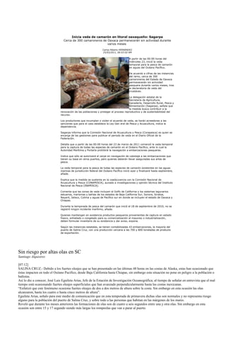 Inicia veda de camarón en litoral oaxaqueño: Sagarpa
                                 Cerca de 300 camaroneros de Oaxaca permanecerán sin actividad durante
                                                             varios meses

                                                                  Carlos Alberto HERNÁNDEZ
                                                                  25/03/2011, 06:03:02 AM

                                                                                        A partir de las 00:00 horas del
                                                                                        miércoles 23, inició la veda
                                                                                        temporal para la pesca de camarón
                                                                                        en aguas del Océano Pacífico.

                                                                                        De acuerdo a cifras de las instancias
                                                                                        del ramo, cerca de 300
                                                                                        camaroneros del Estado de Oaxaca
                                                                                        permanecerán sin actividad
                                                                                        pesquera durante varios meses, tras
                                                                                        la declaratoria de veda del
                                                                                        crustáceo.

                                                                                      La delegación estatal de la
                                                                                      Secretaría de Agricultura,
                                                                                      Ganadería, Desarrollo Rural, Pesca y
                                                                                      Alimentación (Sagarpa), señala que
                                                                                      la medida busca contribuir a la
                               renovación de las poblaciones y proteger el proceso reproductivo y de sustentabilidad del
                               recurso.

                               Los productores que incumplan o violen el acuerdo de veda, se harán acreedoras a las
                               sanciones que para el caso establece la Ley Gen eral de Pesca y Acuacultura, indica la
                               dependencia.

                               Sagarpa informa que la Comisión Nacional de Acuacultura y Pesca (Conapesca) es quien se
                               encarga de las gestiones para publicar el periodo de veda en el Diario Oficial de la
                               Federación.

                               Detalla que a partir de las 00:00 horas del 23 de marzo de 2011 comenzó la veda temporal
                               para la captura de todas las especies de camarón en el Océano Pacífico, ante lo cual la
                               Autoridad Marítima y Portaría prohibirá la navegación a embarcaciones pesqueras.

                               Indica que sólo se autorizará el zarpe en navegación de cabotaje a las embarcaciones que
                               tienen su base en otros puertos, pero quienes deberán llevar aseguradas sus artes de
                               pesca.

                               La veda temporal para la pesca de todas las especies de camarón existentes en las aguas
                               marinas de jurisdicción federal del Océano Pacífico inició ayer y finalizará hasta septiembre,
                               añade.

                               Explica que la medida se sustenta en la coadyuvancia con la Comisión Nacional de
                               Acuacultura y Pesca (CONAPESCA), aunado a investigaciones y opinión técnica del Instituto
                               Nacional de Pesca (INAPESCA).

                               Comenta que las zonas de veda incluyen el Golfo de California y los sistemas lagunarios
                               estuarios, marismas y bahías de los estados de Baja California Sur, Sonora, Sinaloa,
                               Nayarit, Jalisco, Colima y aguas de Pacífico sur en donde se incluyen el estado de Oaxaca y
                               Chiapas.

                               Durante la temporada de pesca del camarón que inició el 18 de septiembre de 2010, no se
                               registró ningún incidente marítimo, añade.

                               Quienes mantengan en existencia productos pesqueros provenientes de captura en estado
                               fresco, enhielado o congelado para su comercialización al mayoreo o industrialización,
                               deben formular inventario de su existencia y dar aviso, expone.

                               Según las instancias estatales, se tienen contabilizadas 43 embarcaciones, la mayoría del
                               puerto de Salina Cruz, con una producción cercana a las 700 y 800 toneladas de producto
                               de exportación.




Sin riesgo por altas olas en SC
Santiago Alquisirez

[07:12]
SALINA CRUZ.- Debido a los fuertes oleajes que se han presentado en las últimas 48 horas en las costas de Alaska, estas han ocasionado que
éstas impacten en todo el Océano Pacifico, desde Baja California hasta Chiapas, sin embargo esta situación no pone en peligro a la población o
bañistas.
Así lo dio a conocer, José Luis Eguileta Arias, Jefe de la Estación de Investigación Oceanográfica; al tiempo de señalar en entrevista que el mal
tiempo está ocasionando fuertes oleajes superficiales que han avanzado perpendicularmente hasta las costas mexicanas.
“Enfatizó que este fenómeno ocasiona fuertes oleajes de dos a dos metros de altura sobre la costa. Sin embargo en esta ocasión las olas
alcanzaron, hasta los cuatro o hasta cinco metros de altura”.
Eguileta Arias, señalo para este medio de comunicación que en esta temporada de primavera dichas olas son normales y no representa riesgo
alguno para la población del puerto de Salina Cruz, y sobre todo a las personas que habitan en las márgenes de los mares.
Reveló que durante los meses anteriores las formaciones de olas son de cuatro a seis segundos entre una y otra olas. Sin embargo en esta
ocasión son entre 15 y 17 segundo siendo más largas los rompeolas que van a parar al puerto.
 