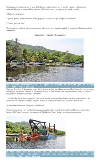 Agrega que esto ocasiona que el agua de la laguna no se oxigene, por lo que las especies y plantas van
muriendo; el agua se torna turbia y apestosa; el turismo ya no viene porque no puede ni nadar.
-¿Que especies pescan?
-Especies que no tienen mercado, como: popoyote y zacaliche, que son para autoconsumo.
-¿Y antes qué pescaban?
-Robalo, pargo, mojarra, jaiba, camarón, este último que si no ha desaparecido si redujo significativamente su
producción.
Aguas sucias empujan a la migración
Las lanchas permanecen en la laguna es espera de turista que no llegan
más. FOTO: Mario Jiménez
El agente de policía de Zapotalito, Abel Víctor García, señala que a la par de la caída de la producción pesquera
en la laguna, el turismo también se fue porque el agua se tornó muy turbia, adquirió un mal olor y la presencia
de cocodrilos aumentó de manera importante.
“De hecho, las dos actividades productivas que teníamos se han perdido, la pesca y el turismo, entonces los
jóvenes se ven en la necesidad de emigrar, de buscar fuera de la comunidad la manera de subsistir”.
-¿Cuántas familias viven de la pesca en la laguna?
-Directamente, entre 4 o 5 mil familias, porque aquí pescaban los habitantes de Cerro Hermoso, Zapotalito,
Pastoria, El Corral, Lagartero, buena parte de Río Grande, Santa Rosa, entre otras comunidades.
La maquinaria que servía para realizar las obras permanece en la laguna;
versión de los empresarios señalan que Conapesca ya no liquidó los
trabajos. FOTO: Mario Jiménez
 