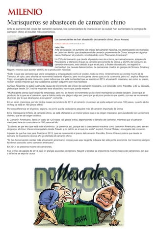 Marisqueros se abastecen de camarón chino
Ante el aumento del costo del camarón nacional, los comerciantes de mariscos en la ciudad han aumentado la compra de
camarón chino al resultar más económico.
Los comerciantes se han abastecido de camarón chino. (Arturo Andrade)
PATRICIA CHAGOYA29/04/2014 06:50 AM
León, Gto.
Ante la escasez y el aumento del precio del camarón nacional, los distribuidores de mariscos
en León han tenido que abastecerse de camarón proveniente de China, aunque en algunos
casos 'disfrazan' el producto, nombrándolo como "Camarón Americano".
Un 75% del camarón que desde el pasado mes de octubre, aproximadamente, adquiere la
Pescadería y Mariscos Araujo es camarón proveniente de China, y el 25% del consumo es
camarón mexicano, esto debido a que en el país, a finales de este año, se registró la
mortandad, por causas desconocidas, de camarones criados en granjas de Sonora, Sinaloa y
Nayarit, mismos que aportan el 80% de la producción nacional.
"Todo lo que sea camarón que viene congelado y empaquetado (como el cocido), todo es chino. Anteriormente se vendía mucho el de
Tampico, el rojito, pero ahorita se incrementó bastante el precio, pero mucha gente piensa que por la cuaresma, pero no", explica Alejandra
Trejo, encargada de este comercio, quien indica que por esta mortandad que se suscitó en 2013, el camarón mexicano, así como su precio,
no han podido mejorar que los ciudadanos puedan adquirirlo con más facilidad.
Aunque Alejandra no sabe cuál fue la causa del incremento del precio del camarón mexicano, o el conocido como Pacotilla, y de su escasez,
platica que desde 2013 no ha mejorado esta situación y no ve que pueda mejorar.
"Mucha gente piensa que fue por la temporada, pero no, de hecho el incremento ya se viene manejando ya desde octubre. Dicen que al
producto de lo que es el camarón, que le había caído una plaga o algo así, pero que ya el poco producto que quedó, por eso se incrementó
el precio, por lo que alcanzaron a recuperar", comenta.
En un inicio, menciona, por ahí de los meses de octubre de 2013, el camarón crudo aún se podía adquirir en unos 105 pesos, cuando al día
de hoy ya está en 180 pesos el kilo.
Por esta diferencia en el precio, expone, es por lo que la ciudadanía adquiere más el camarón importado de China.
En la marisquería El Niño, el camarón chino, se está ofertando a un menor precio que el de origen mexicano, pero ocultando con un nombre
distinto, que es de origen asiático.
El Camarón Americano, tiene un costo de 125 hasta 135 pesos el kilo, dependiendo el tamaño del camarón, mientras que el camarón
mexicano tiene un costo de unos 180 pesos el kilo.
"Es chino, es por eso que está más económico. Le ponemos así, porque así lo conocemos nosotros como camarón Americano, pero ese es
de granja, el chino. Viene empaquetado desde Taiwán y mi patrón es el que nos surte", explicó, Emma Chávez, encargada del comercio.
A pesar de que fue casi para finalizar el 2013, que se incrementó el precio del camarón Pacotilla, Emma Chávez platica que desde la
semana de Cuaresma de ese año ya ofertaba el camarón chino.
"Sí (les ha convenido vender más el camarón americano) porque pues aquí la gente lo busca tan sólo por la economía. Así nosotros siempre
lo hemos conocido como camarón americano".
En 2013, se presenta muerte de camarones.
Fue el mes de agosto de 2013, que en granjas acuícolas de Sonora, Nayarit y Sinaloa se presentó la muerte masiva de camarones, sin que
a la fecha se sepa la causa.
 