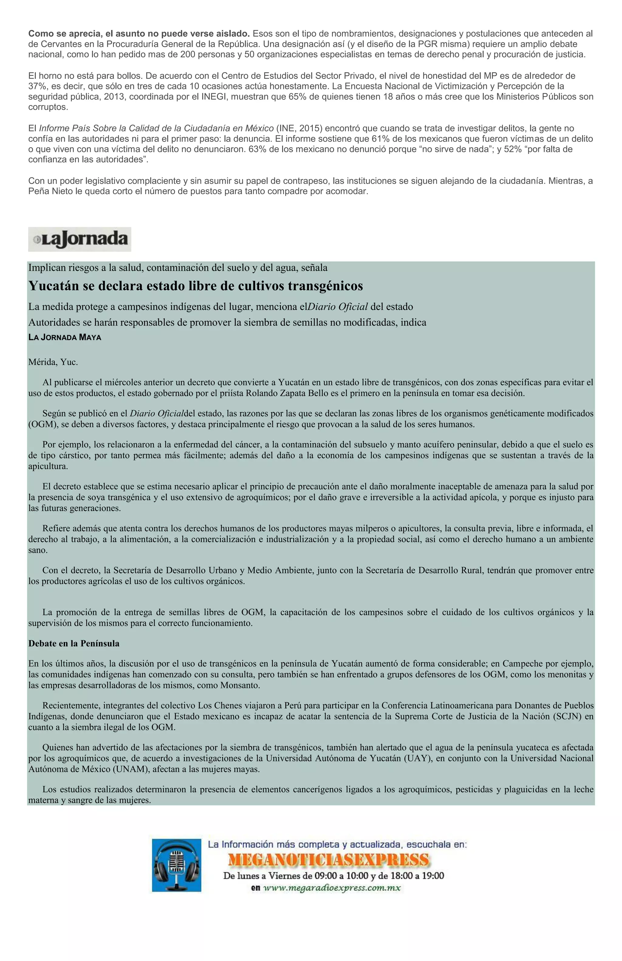 Como se aprecia, el asunto no puede verse aislado. Esos son el tipo de nombramientos, designaciones y postulaciones que anteceden al
de Cervantes en la Procuraduría General de la República. Una designación así (y el diseño de la PGR misma) requiere un amplio debate
nacional, como lo han pedido mas de 200 personas y 50 organizaciones especialistas en temas de derecho penal y procuración de justicia.
El horno no está para bollos. De acuerdo con el Centro de Estudios del Sector Privado, el nivel de honestidad del MP es de alrededor de
37%, es decir, que sólo en tres de cada 10 ocasiones actúa honestamente. La Encuesta Nacional de Victimización y Percepción de la
seguridad pública, 2013, coordinada por el INEGI, muestran que 65% de quienes tienen 18 años o más cree que los Ministerios Públicos son
corruptos.
El Informe País Sobre la Calidad de la Ciudadanía en México (INE, 2015) encontró que cuando se trata de investigar delitos, la gente no
confía en las autoridades ni para el primer paso: la denuncia. El informe sostiene que 61% de los mexicanos que fueron víctimas de un delito
o que viven con una víctima del delito no denunciaron. 63% de los mexicano no denunció porque “no sirve de nada”; y 52% “por falta de
confianza en las autoridades”.
Con un poder legislativo complaciente y sin asumir su papel de contrapeso, las instituciones se siguen alejando de la ciudadanía. Mientras, a
Peña Nieto le queda corto el número de puestos para tanto compadre por acomodar.
Implican riesgos a la salud, contaminación del suelo y del agua, señala
Yucatán se declara estado libre de cultivos transgénicos
La medida protege a campesinos indígenas del lugar, menciona elDiario Oficial del estado
Autoridades se harán responsables de promover la siembra de semillas no modificadas, indica
LA JORNADA MAYA
Mérida, Yuc.
Al publicarse el miércoles anterior un decreto que convierte a Yucatán en un estado libre de transgénicos, con dos zonas específicas para evitar el
uso de estos productos, el estado gobernado por el priísta Rolando Zapata Bello es el primero en la península en tomar esa decisión.
Según se publicó en el Diario Oficialdel estado, las razones por las que se declaran las zonas libres de los organismos genéticamente modificados
(OGM), se deben a diversos factores, y destaca principalmente el riesgo que provocan a la salud de los seres humanos.
Por ejemplo, los relacionaron a la enfermedad del cáncer, a la contaminación del subsuelo y manto acuífero peninsular, debido a que el suelo es
de tipo cárstico, por tanto permea más fácilmente; además del daño a la economía de los campesinos indígenas que se sustentan a través de la
apicultura.
El decreto establece que se estima necesario aplicar el principio de precaución ante el daño moralmente inaceptable de amenaza para la salud por
la presencia de soya transgénica y el uso extensivo de agroquímicos; por el daño grave e irreversible a la actividad apícola, y porque es injusto para
las futuras generaciones.
Refiere además que atenta contra los derechos humanos de los productores mayas milperos o apicultores, la consulta previa, libre e informada, el
derecho al trabajo, a la alimentación, a la comercialización e industrialización y a la propiedad social, así como el derecho humano a un ambiente
sano.
Con el decreto, la Secretaría de Desarrollo Urbano y Medio Ambiente, junto con la Secretaría de Desarrollo Rural, tendrán que promover entre
los productores agrícolas el uso de los cultivos orgánicos.
La promoción de la entrega de semillas libres de OGM, la capacitación de los campesinos sobre el cuidado de los cultivos orgánicos y la
supervisión de los mismos para el correcto funcionamiento.
Debate en la Península
En los últimos años, la discusión por el uso de transgénicos en la península de Yucatán aumentó de forma considerable; en Campeche por ejemplo,
las comunidades indígenas han comenzado con su consulta, pero también se han enfrentado a grupos defensores de los OGM, como los menonitas y
las empresas desarrolladoras de los mismos, como Monsanto.
Recientemente, integrantes del colectivo Los Chenes viajaron a Perú para participar en la Conferencia Latinoamericana para Donantes de Pueblos
Indígenas, donde denunciaron que el Estado mexicano es incapaz de acatar la sentencia de la Suprema Corte de Justicia de la Nación (SCJN) en
cuanto a la siembra ilegal de los OGM.
Quienes han advertido de las afectaciones por la siembra de transgénicos, también han alertado que el agua de la península yucateca es afectada
por los agroquímicos que, de acuerdo a investigaciones de la Universidad Autónoma de Yucatán (UAY), en conjunto con la Universidad Nacional
Autónoma de México (UNAM), afectan a las mujeres mayas.
Los estudios realizados determinaron la presencia de elementos cancerígenos ligados a los agroquímicos, pesticidas y plaguicidas en la leche
materna y sangre de las mujeres.
 