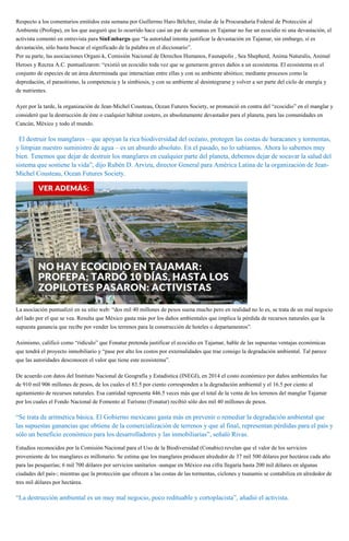 Respecto a los comentarios emitidos esta semana por Guillermo Haro Bélchez, titular de la Procuraduría Federal de Protección al
Ambiente (Profepa), en los que aseguró que lo ocurrido hace casi un par de semanas en Tajamar no fue un ecocidio ni una devastación, el
activista comentó en entrevista para SinEmbargo que “la autoridad intenta justificar la devastación en Tajamar, sin embargo, sí es
devastación, sólo basta buscar el significado de la palabra en el diccionario”.
Por su parte, las asociaciones Organi-k, Comisión Nacional de Derechos Humanos, Faunapolis , Sea Shepherd, Anima Naturalis, Animal
Heroes y Recrea A.C. puntualizaron: “existió un ecocidio toda vez que se generaron graves daños a un ecosistema. El ecosistema es el
conjunto de especies de un área determinada que interactúan entre ellas y con su ambiente abiótico; mediante procesos como la
depredación, el parasitismo, la competencia y la simbiosis, y con su ambiente al desintegrarse y volver a ser parte del ciclo de energía y
de nutrientes.
Ayer por la tarde, la organización de Jean-Michel Cousteau, Ocean Futures Society, se pronunció en contra del “ecocidio” en el manglar y
consideró que la destrucción de éste o cualquier hábitat costero, es absolutamente devastador para el planeta, para las comunidades en
Cancún, México y todo el mundo.
“El destruir los manglares – que apoyan la rica biodiversidad del océano, protegen las costas de huracanes y tormentas,
y limpian nuestro suministro de agua – es un absurdo absoluto. En el pasado, no lo sabíamos. Ahora lo sabemos muy
bien. Tenemos que dejar de destruir los manglares en cualquier parte del planeta, debemos dejar de socavar la salud del
sistema que sostiene la vida”, dijo Rubén D. Arvizu, director General para América Latina de la organización de Jean-
Michel Cousteau, Ocean Futures Society.
La asociación puntualizó en su sitio web: “dos mil 40 millones de pesos suena mucho pero en realidad no lo es, se trata de un mal negocio
del lado por el que se vea. Resulta que México gasta más por los daños ambientales que implica la pérdida de recursos naturales que la
supuesta ganancia que recibe por vender los terrenos para la construcción de hoteles o departamentos”.
Asimismo, calificó como “ridículo” que Fonatur pretenda justificar el ecocidio en Tajamar, hable de las supuestas ventajas económicas
que tendrá el proyecto inmobiliario y “pase por alto los costos por externalidades que trae consigo la degradación ambiental. Tal parece
que las autoridades desconocen el valor que tiene este ecosistema”.
De acuerdo con datos del Instituto Nacional de Geografía y Estadística (INEGI), en 2014 el costo económico por daños ambientales fue
de 910 mil 906 millones de pesos, de los cuales el 83.5 por ciento corresponden a la degradación ambiental y el 16.5 por ciento al
agotamiento de recursos naturales. Esa cantidad representa 446.5 veces más que el total de la venta de los terrenos del manglar Tajamar
por los cuales el Fondo Nacional de Fomento al Turismo (Fonatur) recibió sólo dos mil 40 millones de pesos.
“Se trata de aritmética básica. El Gobierno mexicano gasta más en prevenir o remediar la degradación ambiental que
las supuestas ganancias que obtiene de la comercialización de terrenos y que al final, representan pérdidas para el país y
sólo un beneficio económico para los desarrolladores y las inmobiliarias”, señaló Rivas.
Estudios reconocidos por la Comisión Nacional para el Uso de la Biodiversidad (Conabio) revelan que el valor de los servicios
proveniente de los manglares es millonario. Se estima que los manglares producen alrededor de 37 mil 500 dólares por hectárea cada año
para las pesquerías; 6 mil 700 dólares por servicios sanitarios -aunque en México esa cifra llegaría hasta 200 mil dólares en algunas
ciudades del país-; mientras que la protección que ofrecen a las costas de las tormentas, ciclones y tsunamis se contabiliza en alrededor de
tres mil dólares por hectárea.
“La destrucción ambiental es un muy mal negocio, poco redituable y cortoplacista”, añadió el activista.
 
