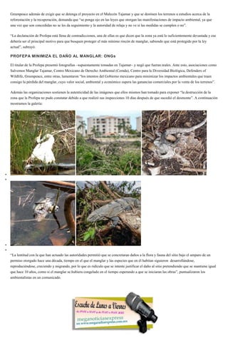 Greenpeace además de exigir que se detenga el proyecto en el Malecón Tajamar y que se destinen los terrenos a estudios acerca de la
reforestación y la recuperación, demanda que “se ponga ojo en las leyes que otorgan las manifestaciones de impacto ambiental, ya que
una vez que son concedidas no se les da seguimiento y la autoridad de relaja y no ve si las medidas se cumplen o no”.
“La declaración de Profepa está llena de contradicciones, una de ellas es que dicen que la zona ya está lo suficientemente devastada y ese
debería ser el principal motivo para que busquen proteger el más mínimo rincón de manglar, sabiendo que está protegido por la ley
actual”, subrayó.
PROFEPA MINIMIZA EL DAÑO AL MANGLAR: ONGs
El titular de la Profepa presentó fotografías –supuestamente tomadas en Tajamar– y negó que fueran reales. Ante esto, asociaciones como
Salvemos Manglar Tajamar, Centro Mexicano de Derecho Ambiental (Cemda), Centro para la Diversidad Biológica, Defenders of
Wildlife, Greenpeace, entre otras, lamentaron “los intentos del Gobierno mexicano para minimizar los impactos ambientales que traen
consigo la pérdida del manglar, cuyo valor social, ambiental y económico supera las ganancias comerciales por la venta de los terrenos”.
Además las organizaciones sostienen la autenticidad de las imágenes que ellos mismos han tomado para exponer “la destrucción de la
zona que la Profepa no pudo constatar debido a que realizó sus inspecciones 10 días después de que sucedió el desmonte”. A continuación
mostramos la galería:
“La lentitud con la que han actuado las autoridades permitió que se concretaran daños a la flora y fauna del sitio bajo el amparo de un
permiso otorgado hace una década, tiempo en el que el manglar y las especies que en él habitan siguieron desarrollándose,
reproduciéndose, creciendo y migrando, por lo que es ridículo que se intente justificar el daño al sitio pretendiendo que se mantiene igual
que hace 10 años, como si el manglar se hubiera congelado en el tiempo esperando a que se iniciaran las obras”, puntualizaron los
ambientalistas en un comunicado.
 