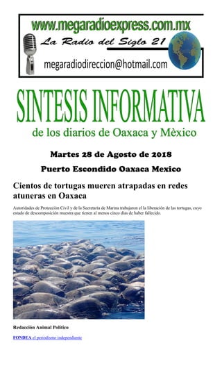 Cientos de tortugas mueren atrapadas en redes
atuneras en Oaxaca
Autoridades de Protección Civil y de la Secretaría de Marina trabajaron el la liberación de las tortugas, cuyo
estado de descomposición muestra que tienen al menos cinco días de haber fallecido.
Redacción Animal Político
FONDEA el periodismo independiente
 