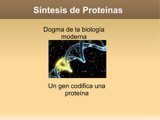Síntesis de Proteínas
Dogma de la biología
moderna
Un gen codifica una
proteína
 
