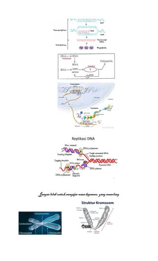 SINTESIS PROTEIN KIMIA KELAS 12 IPA BIOLOGI | DOCX