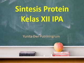 Sintesis Protein
Kelas XII IPA
Yunita Dwi Putriningrum
 