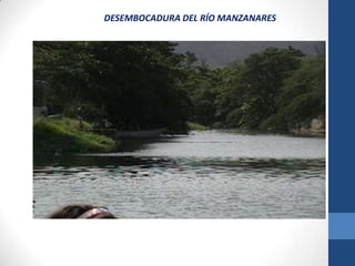 DESEMBOCADURA DEL RÍO MANZANARES
 