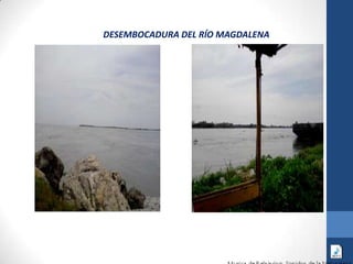 DESEMBOCADURA DEL RÍO MAGDALENA
 