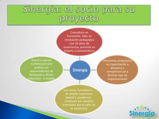 Sinergia: el socio para su proyecto
