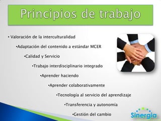 Tiempo previsto del proyecto: 4 meses y medioObjetivos del proyectoEn línea con los del Departamento de Educación de Ayuntamiento: Realizar un diseño de formación que integre las sesiones presenciales con la formación online.Implementar las herramientas más adecuadas para trabajar las competencias comunicativas, sociolingüísticas y pragmáticas durante la formación del idioma españolRevisar y adaptar el diseño de las actividades y del sistema de evaluación para ajustarlo a la metodología e-learning.Formar a los docentes actuales para actuar como docentes virtuales, haciendo hincapié en la metodología y en la tutorizaciónFormar a los agentes implicados en el uso de la plataforma Moodle y sus herramientas para sus propósitos específicos 